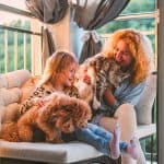 DNI para animales: Qué cambios conlleva la nueva ley