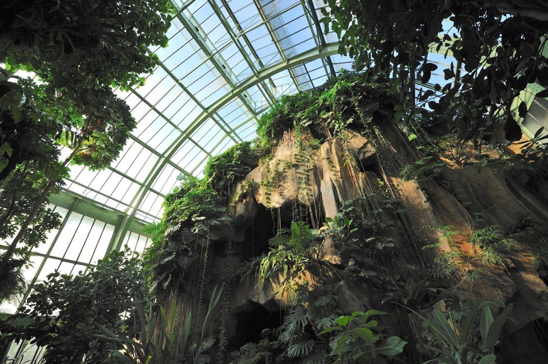 Musum National d'Histoire Naturelle - Online ticket sales