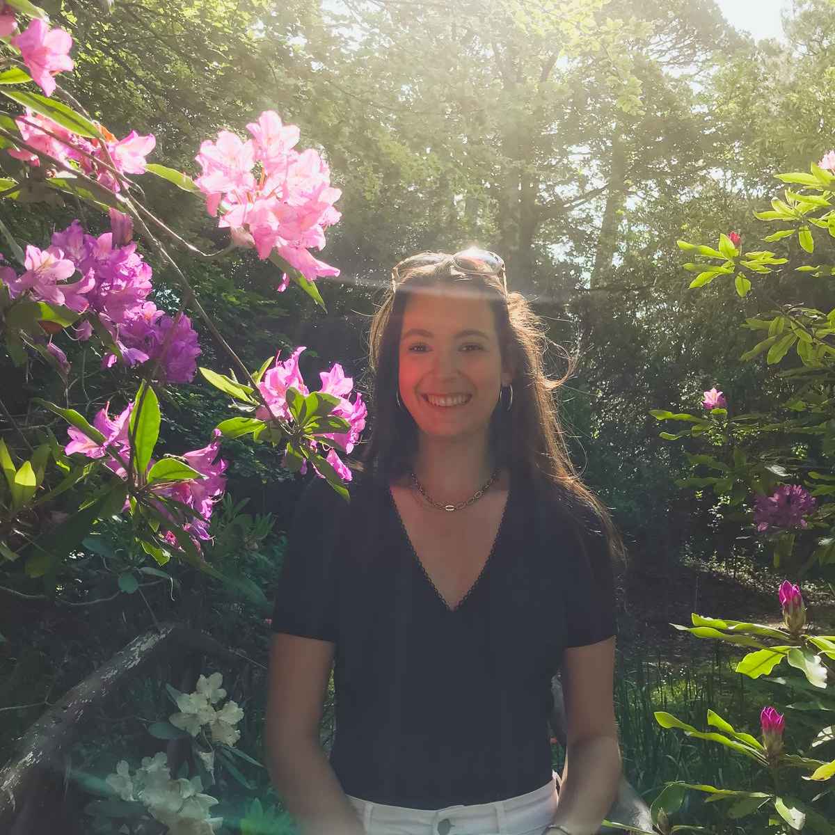 author avatar