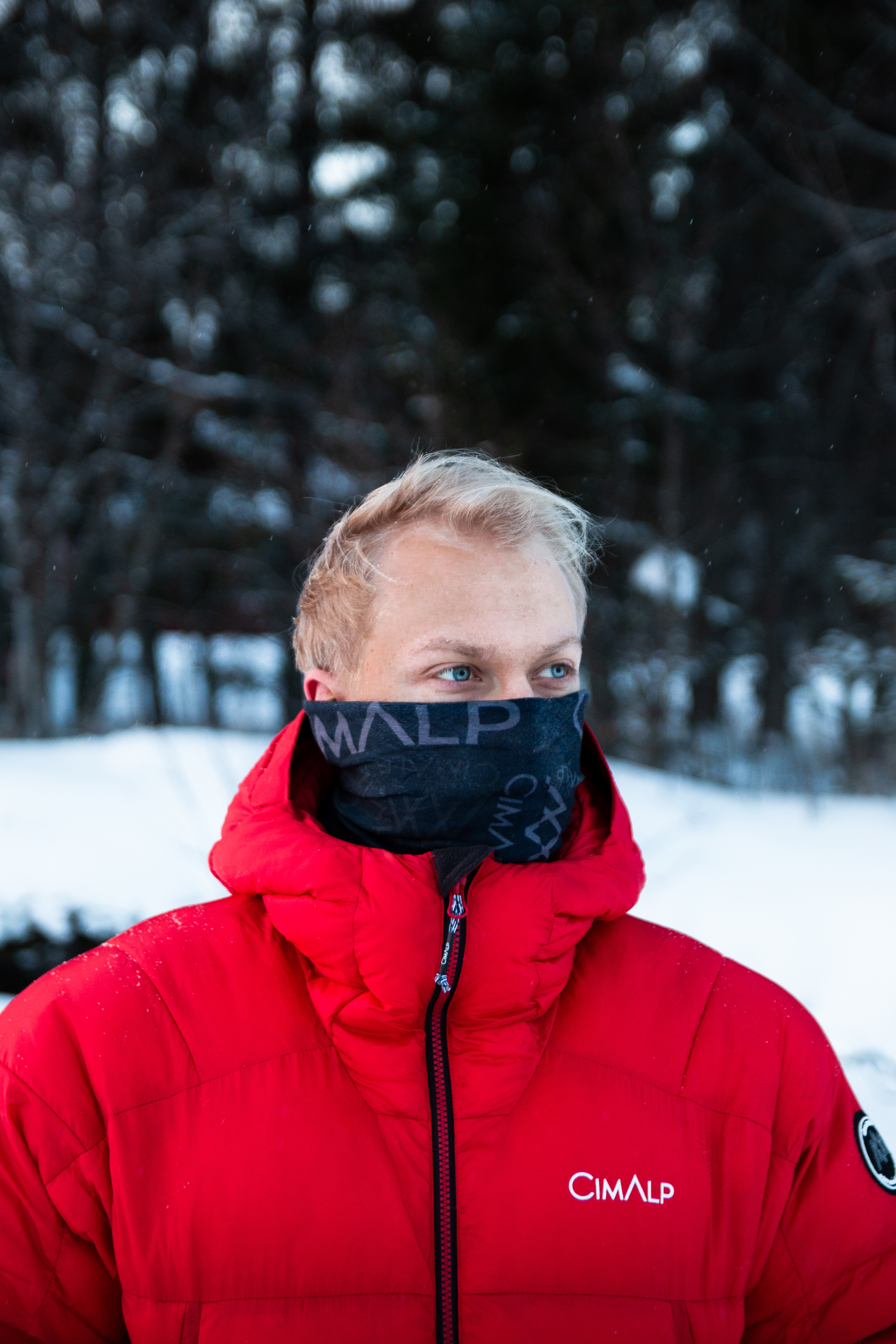 author avatar