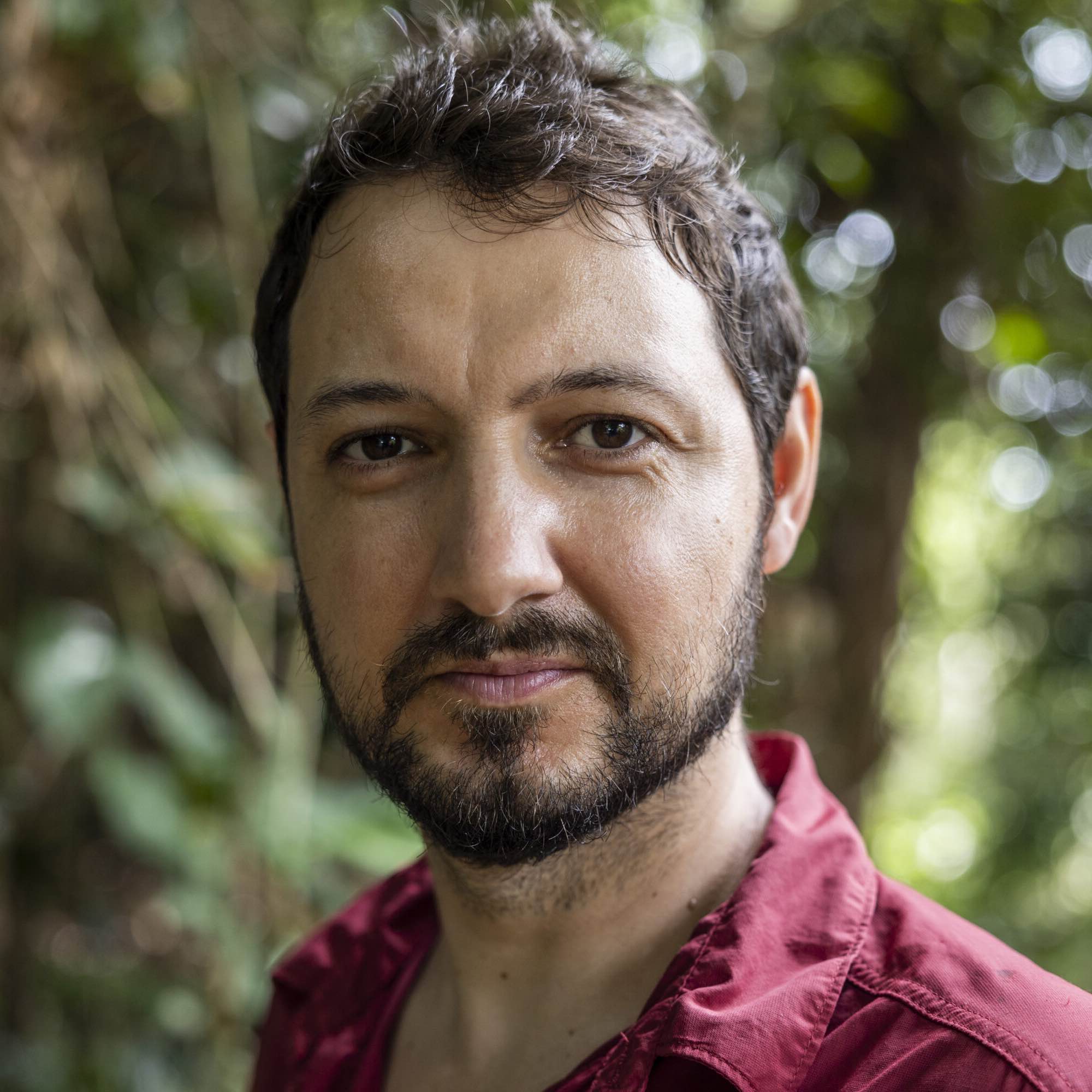 author avatar