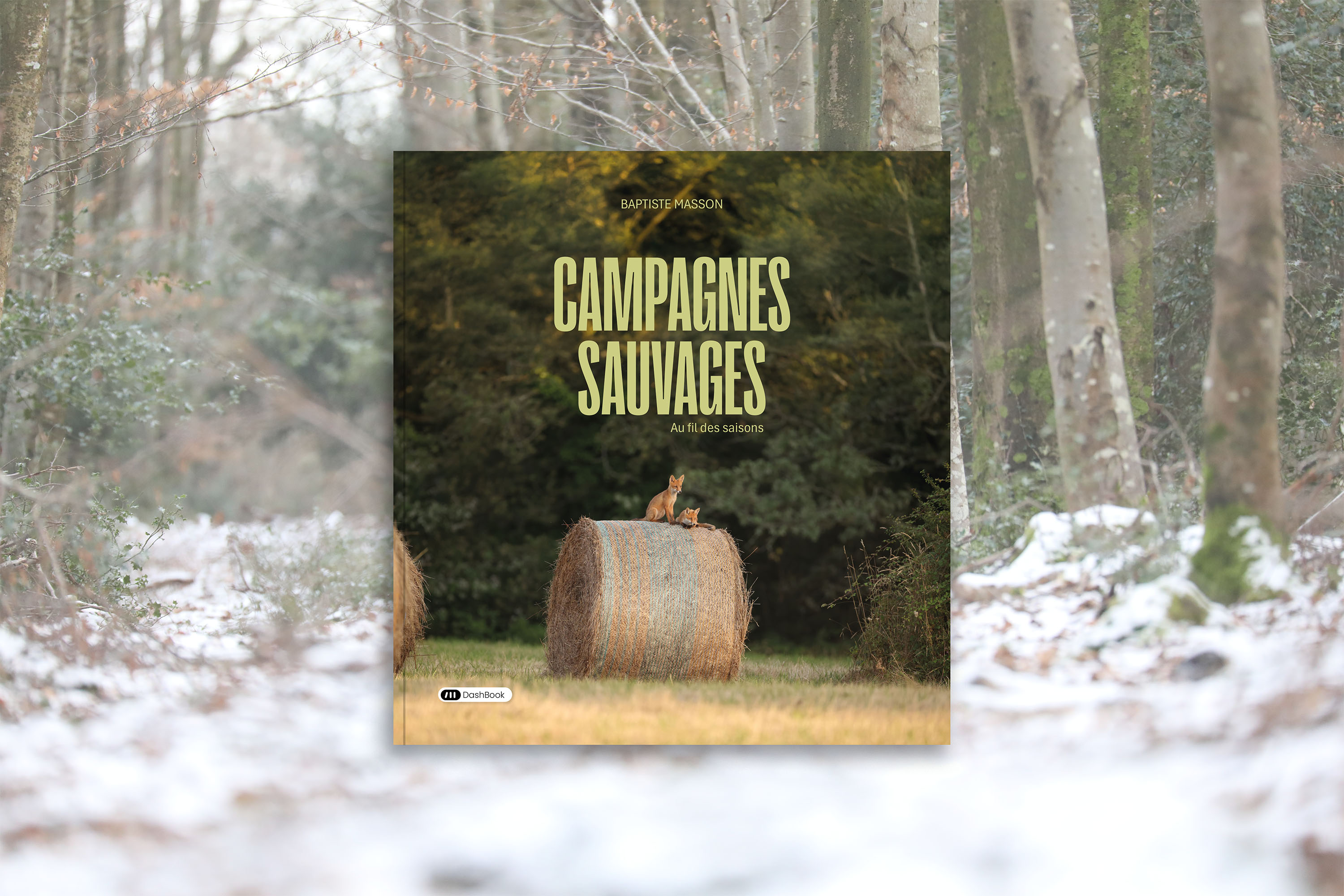 Campagnes sauvages