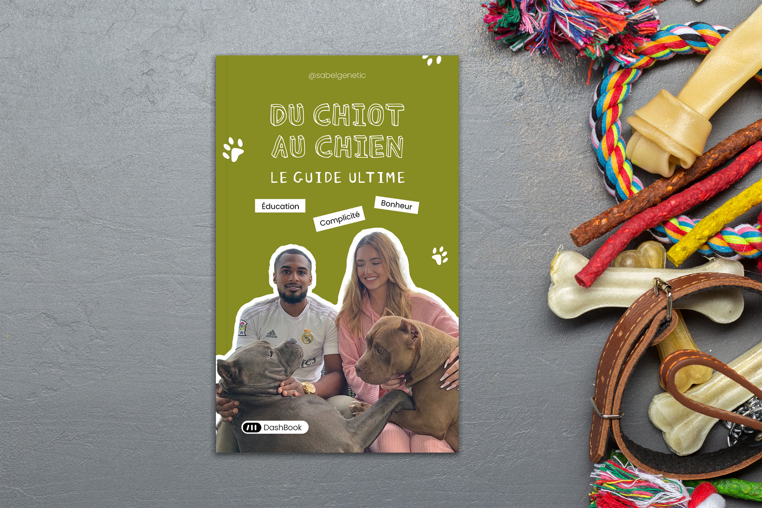 Du chiot au chien