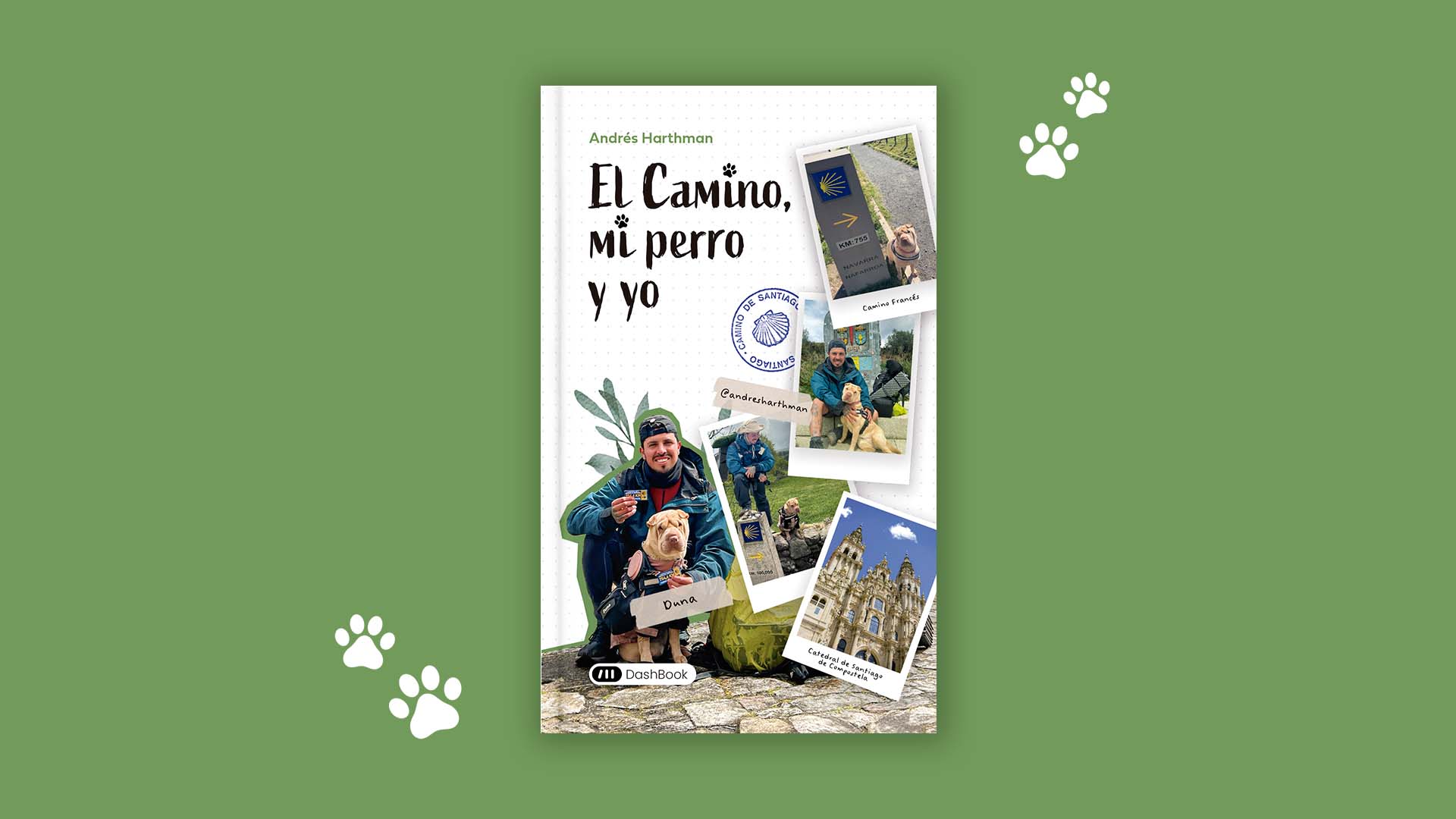 El Camino, mi perro y yo