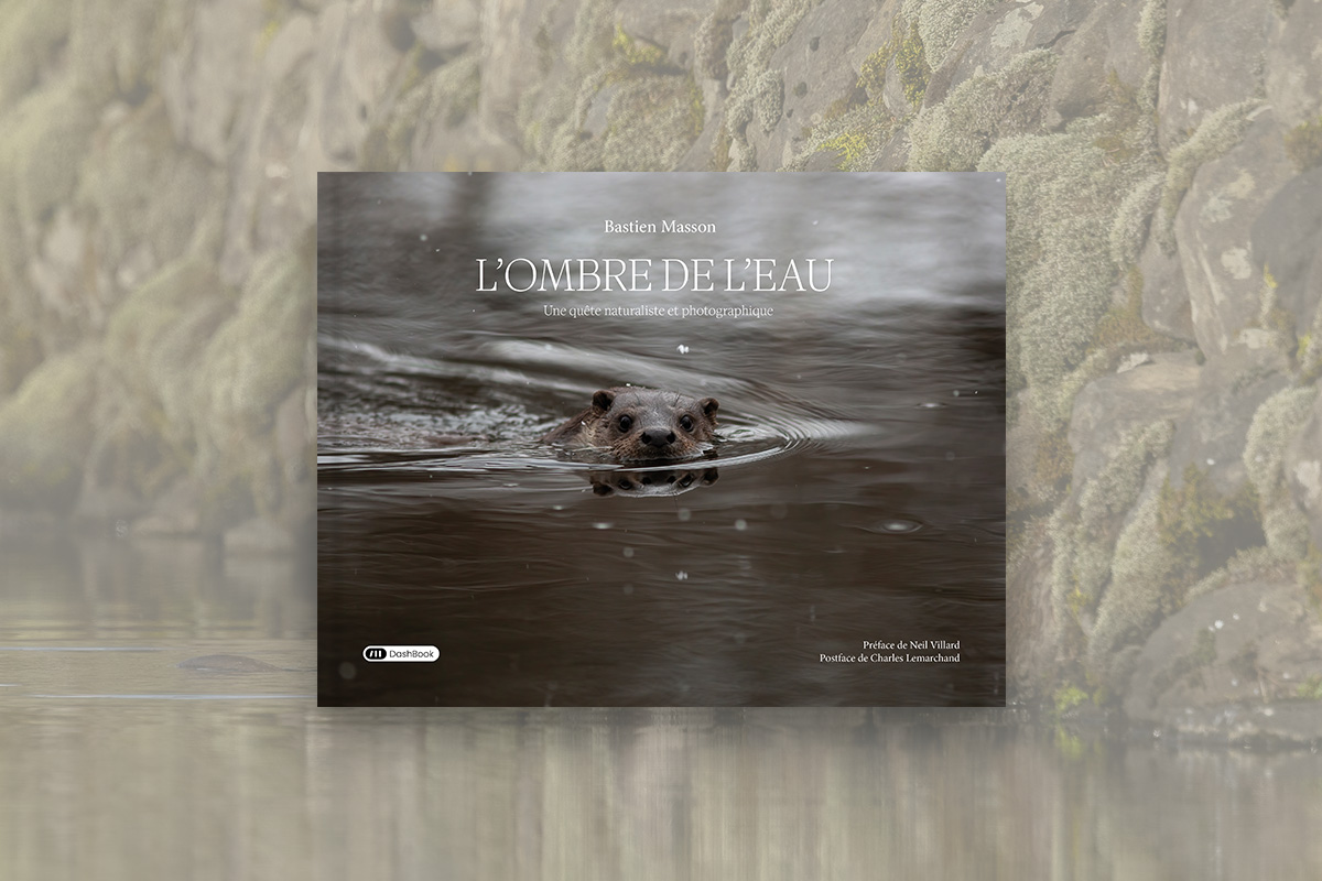 L'ombre de l'eau