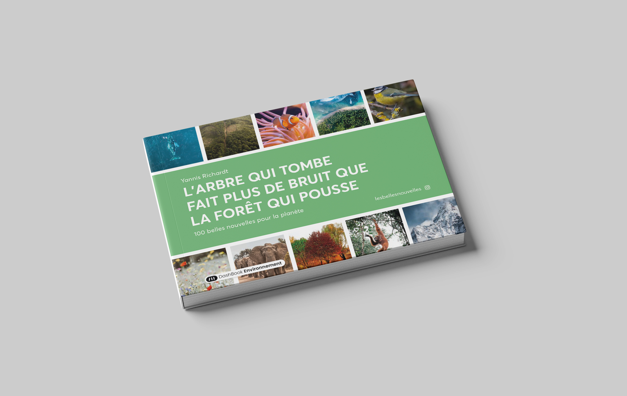 L'arbre qui tombe fait plus de bruit que la forêt qui pousse (Version 100 belles nouvelles)