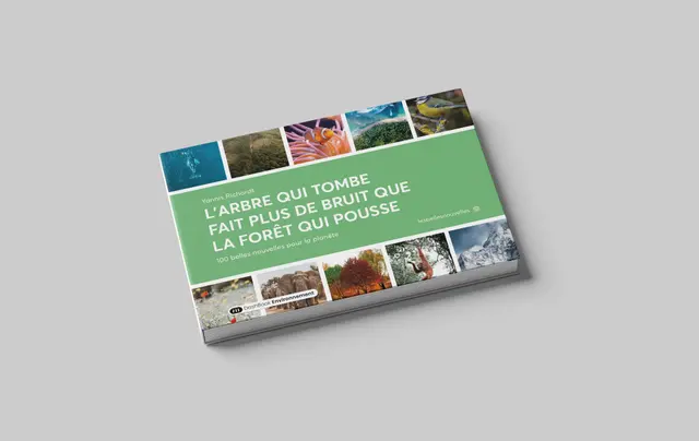 L’arbre qui tombe fait plus de bruit que la forêt qui pousse (Version 50 belles nouvelles)