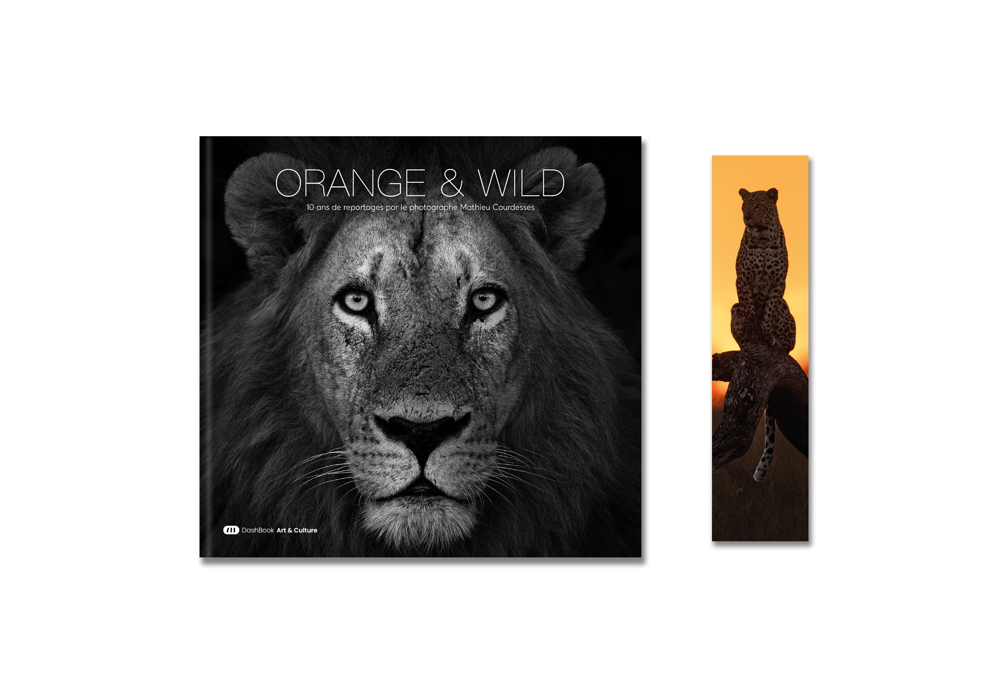 pack-livre-et-marque-page-115_1749128662.jpg