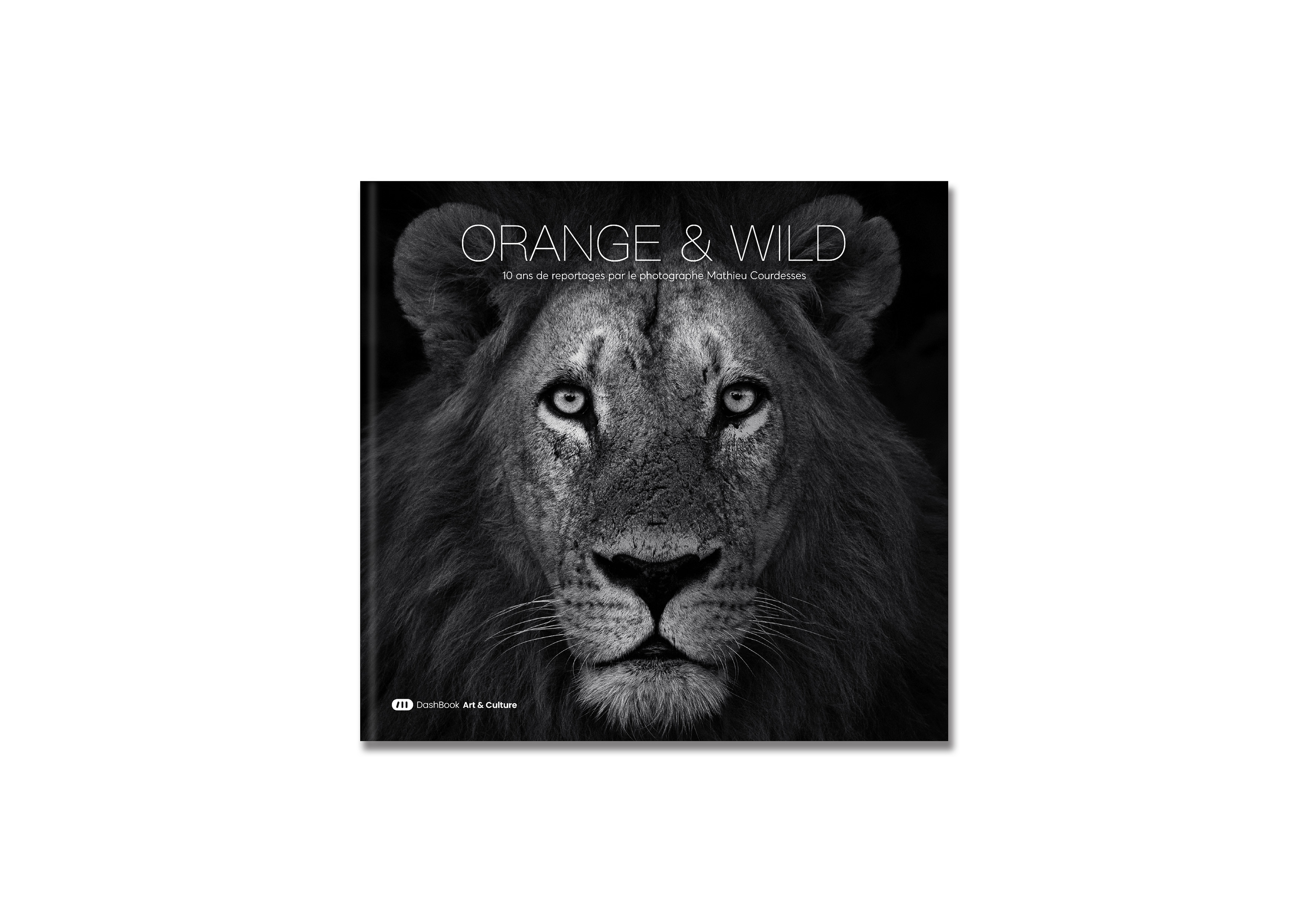 Orange & Wild