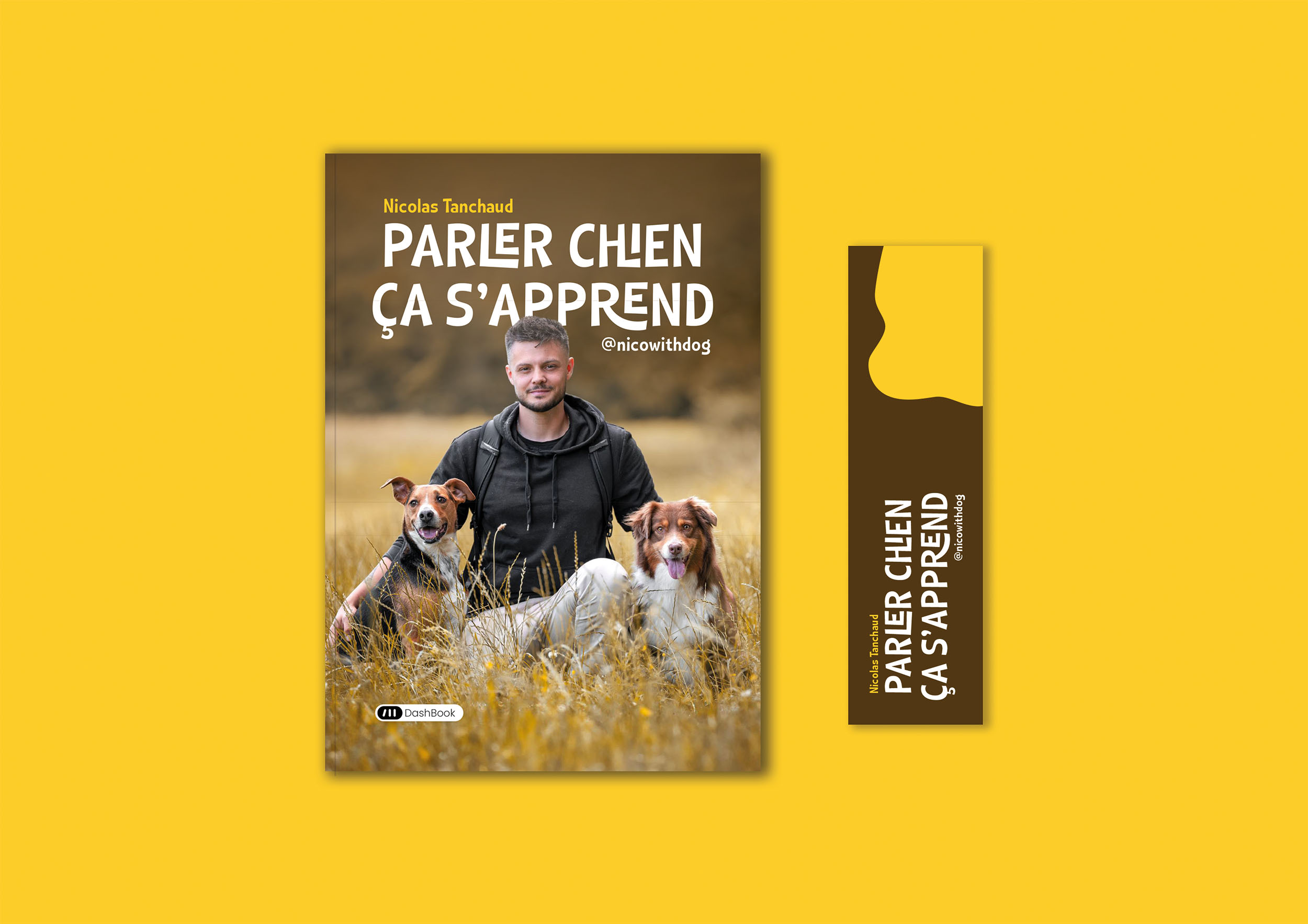 Top des races de chiens leveurs de gibier pour la chasse - Animal