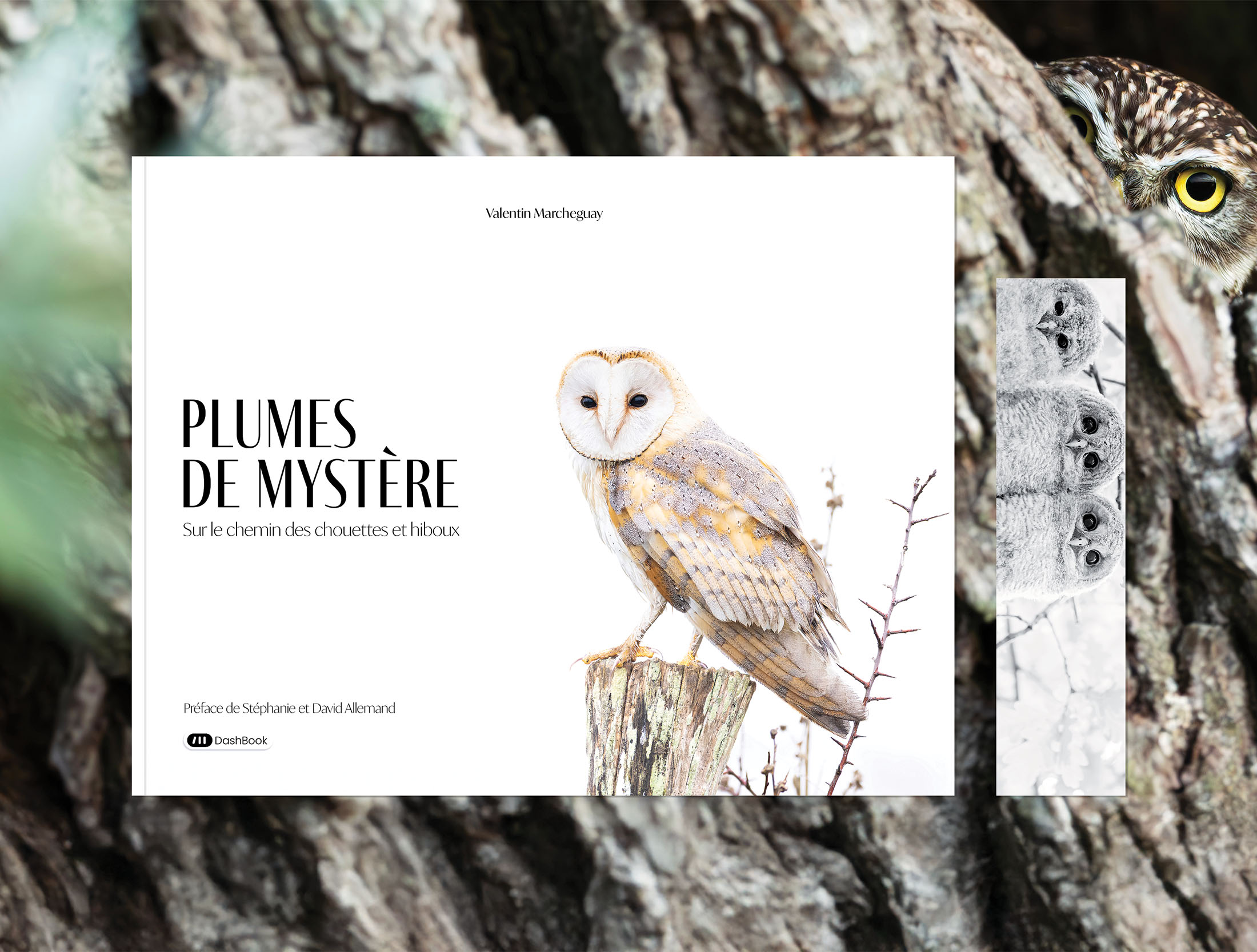 pack-livre-et-marque-page-93_1747229871.jpg