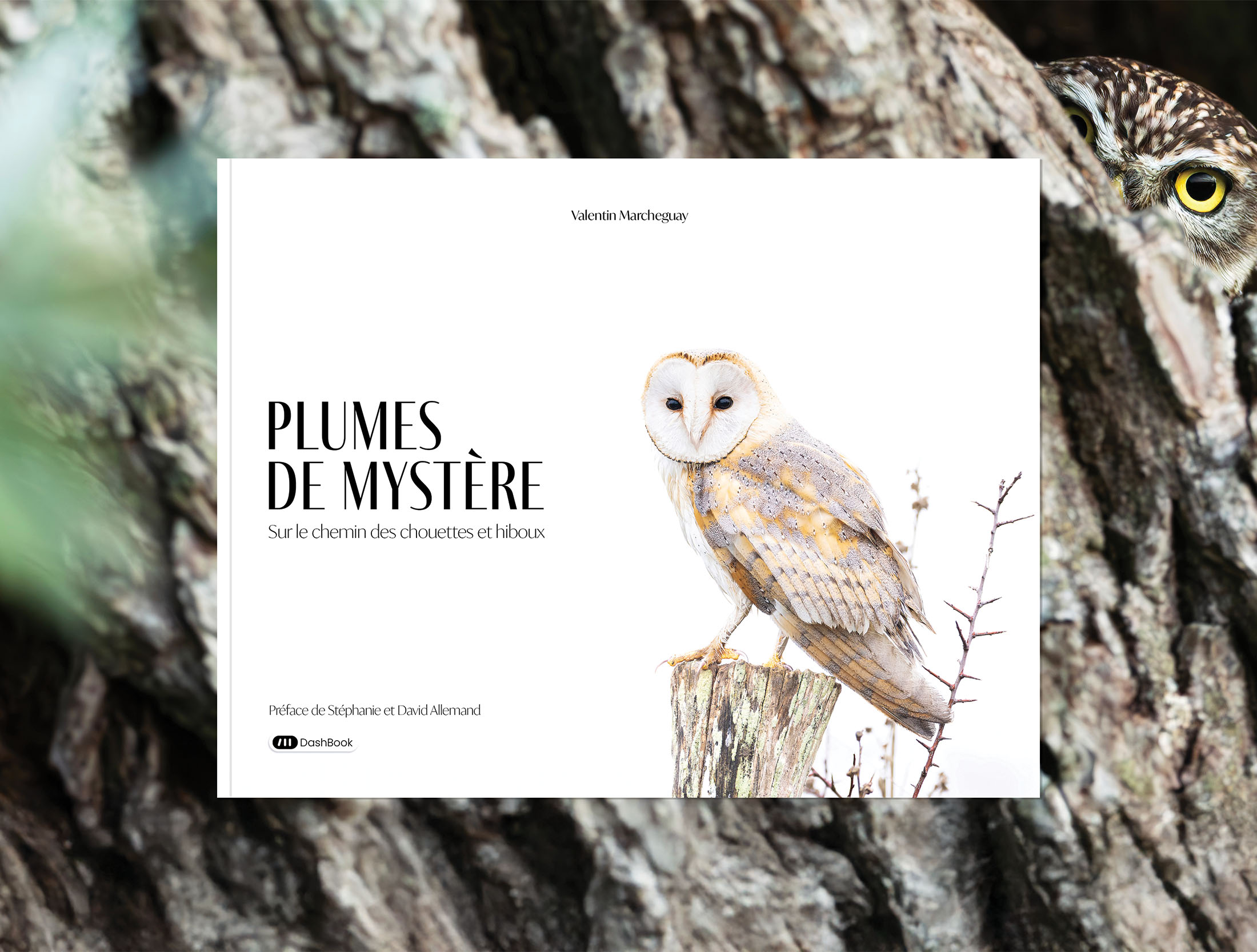 Plumes de mystère