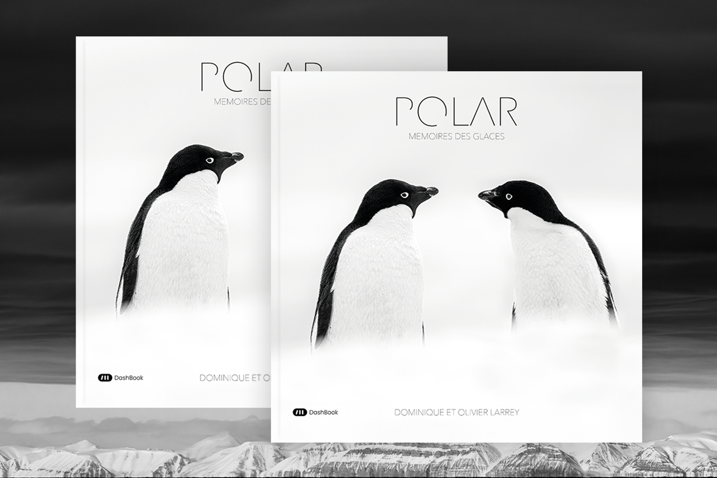 pack-duo_1741716016.png