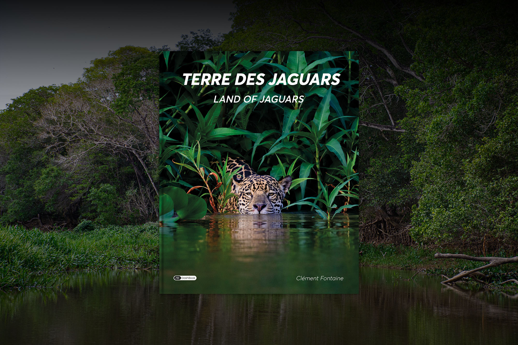 Terre des Jaguars