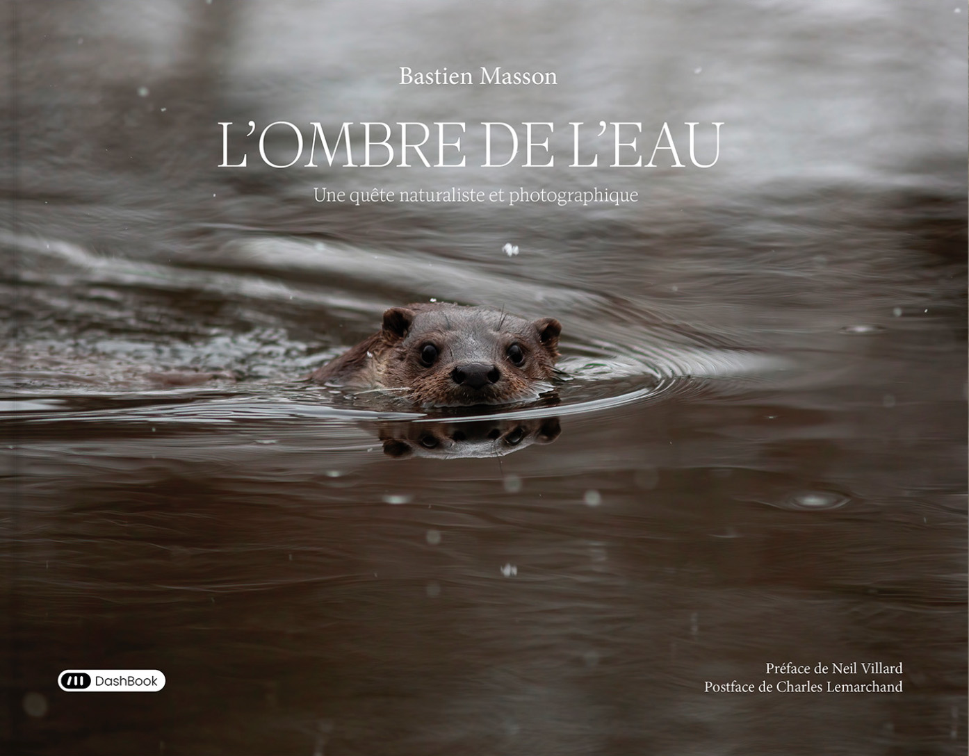 book card cover - L'ombre de l'eau
