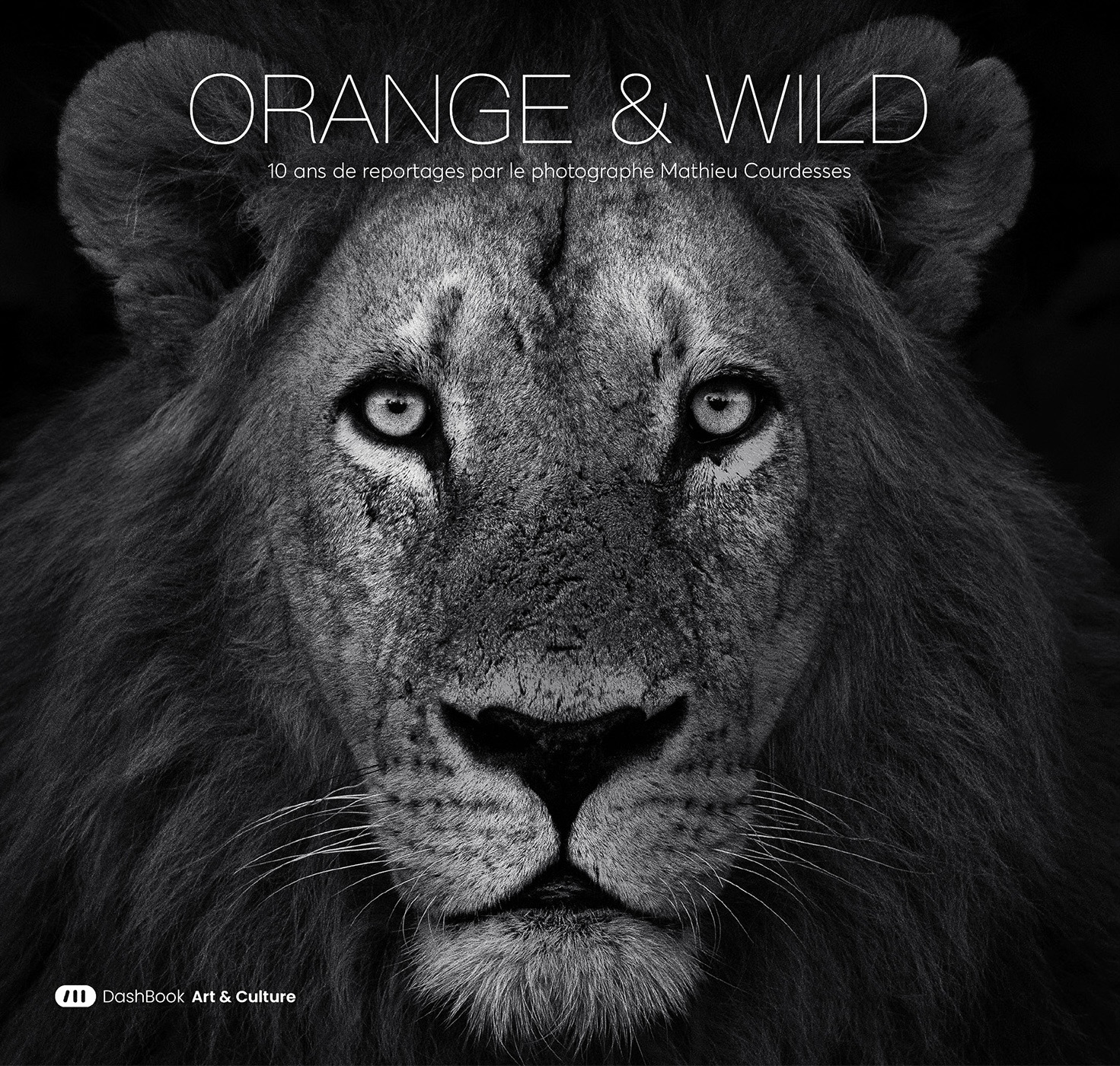 book card cover - Orange & Wild