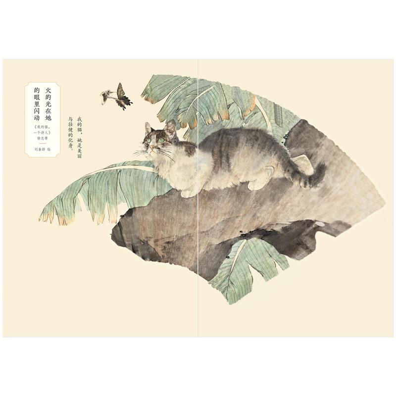 插图