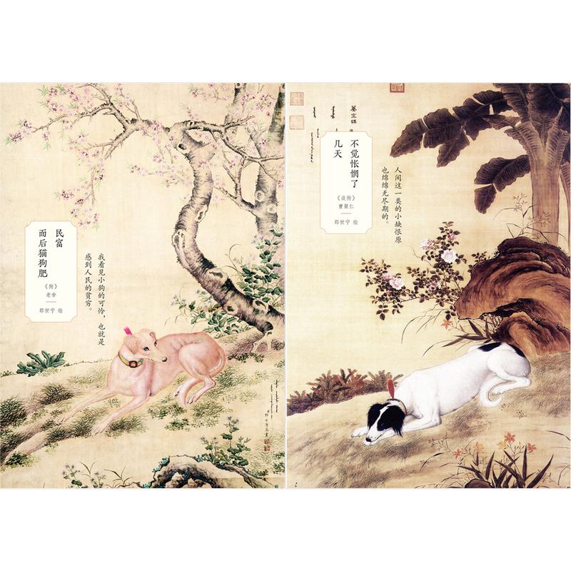 插图