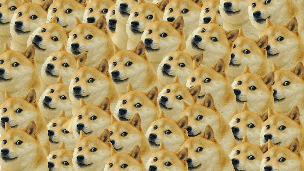 Le mème Doge