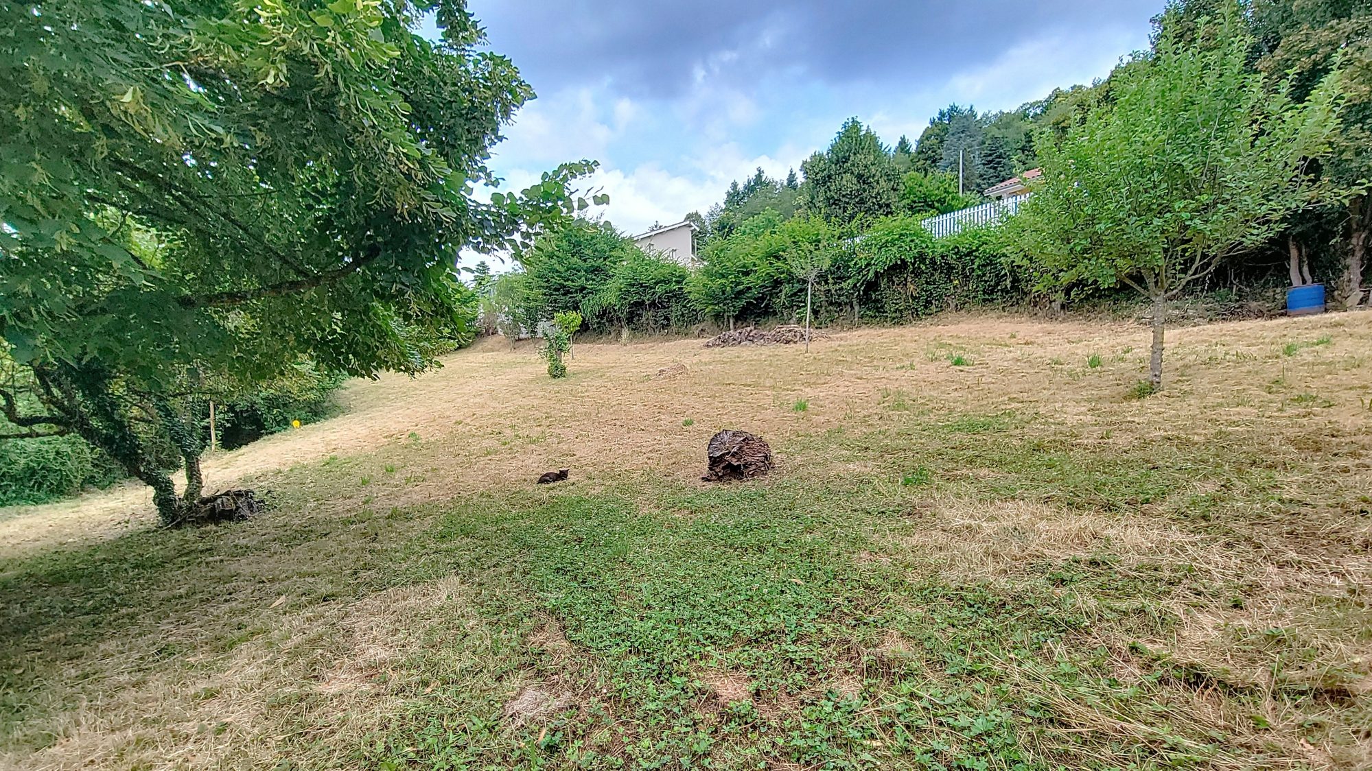 Terrain Constructible dans cadre privilégié Porte-des-Bonnevaux 38260