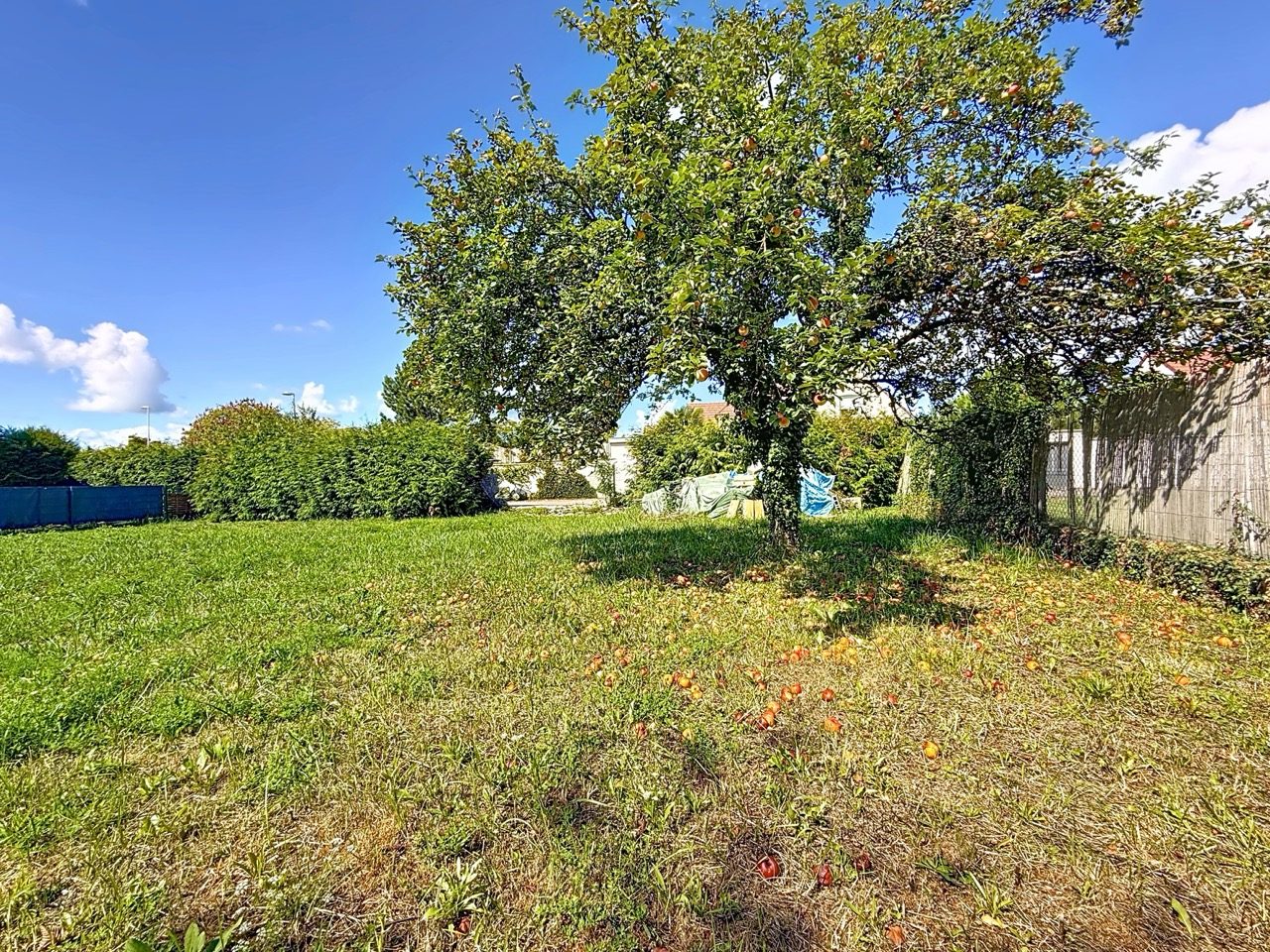 TERRAIN Constructible 5 MIN BEAUNE Vignoles 21200