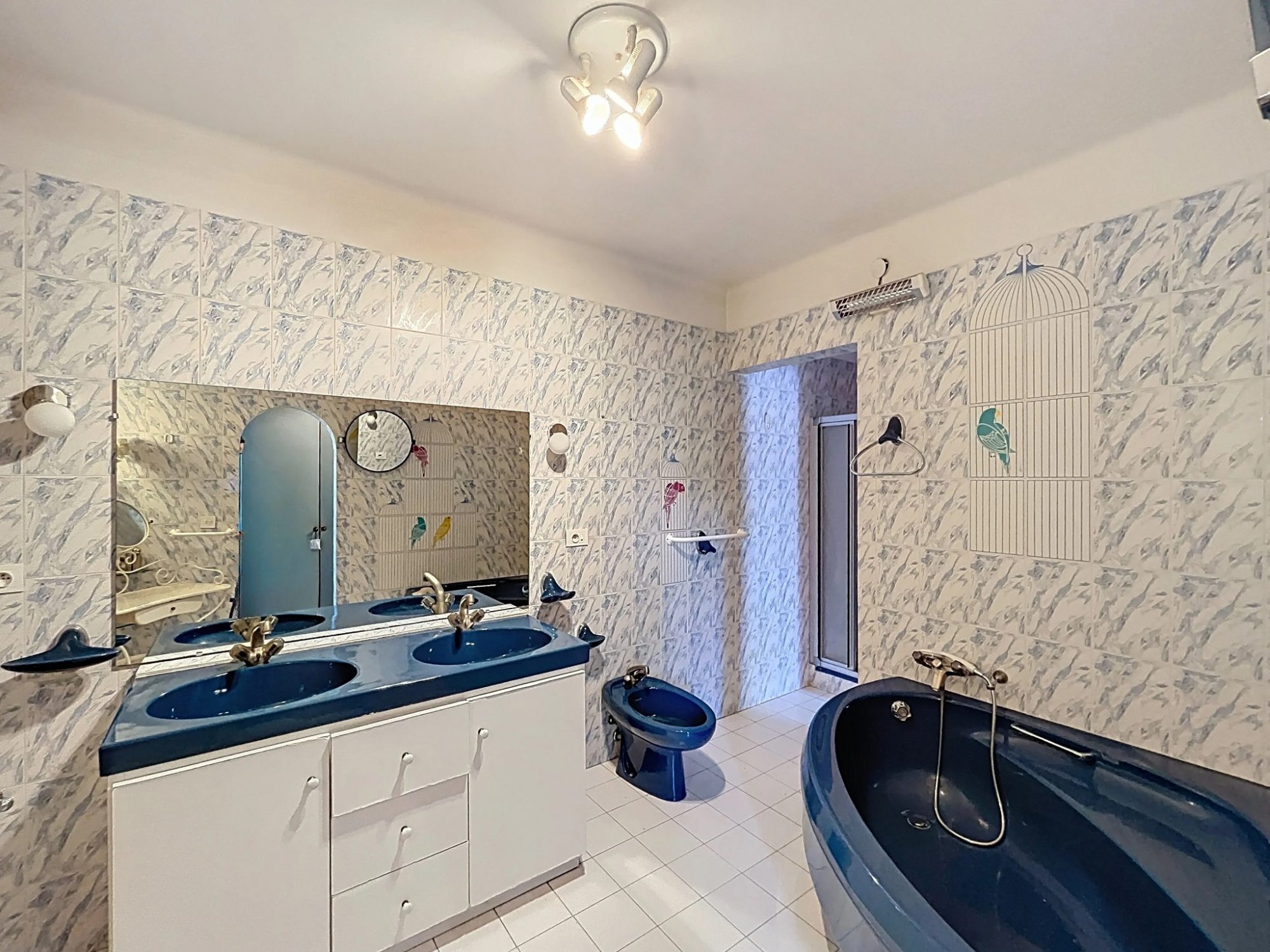 Appartement Type T4 de 147,90m² Lélex 01410