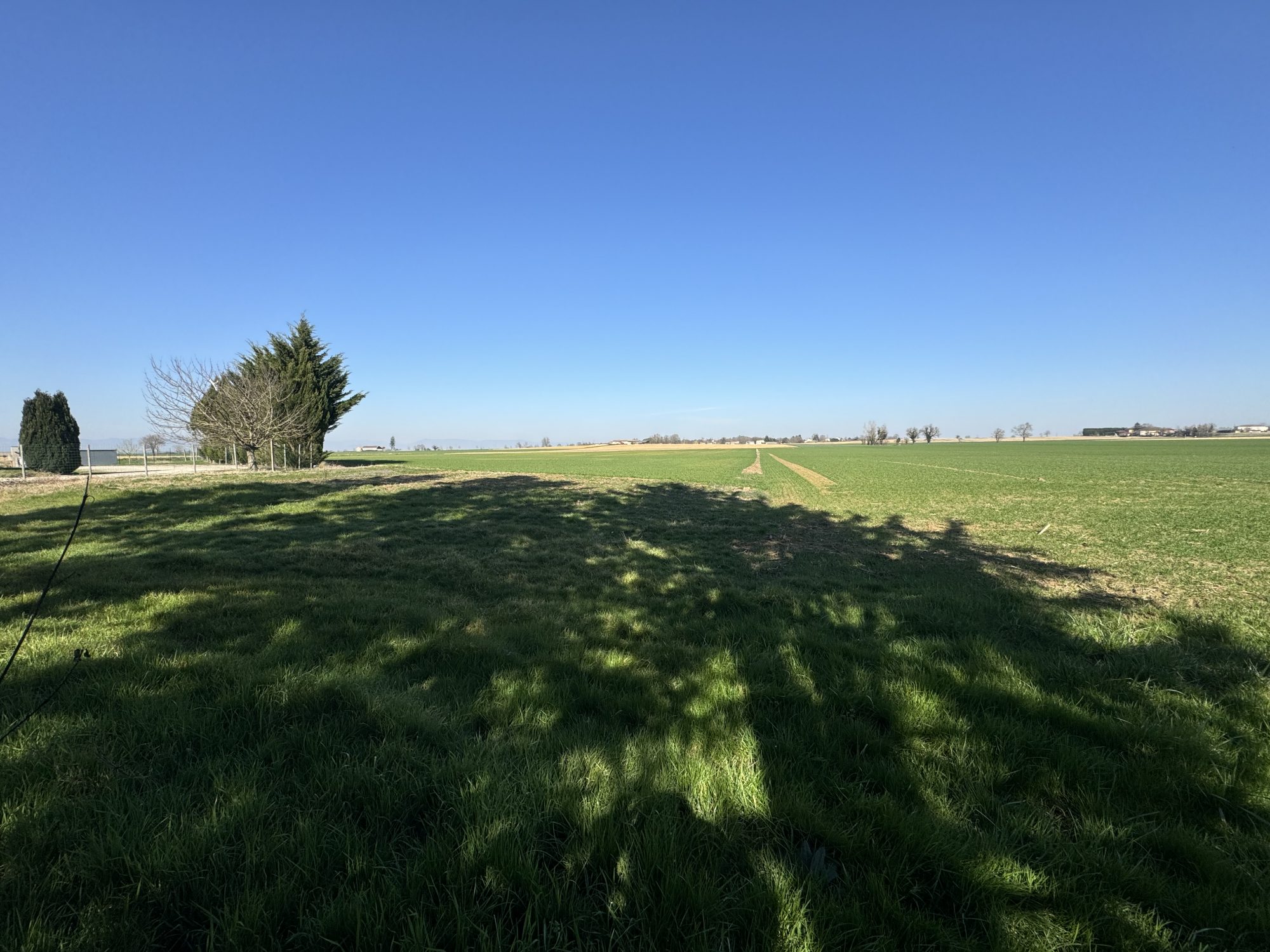 SAVIGNEUX - 12 KM DE VILLEFRANCHE - TERRAIN A BATIR