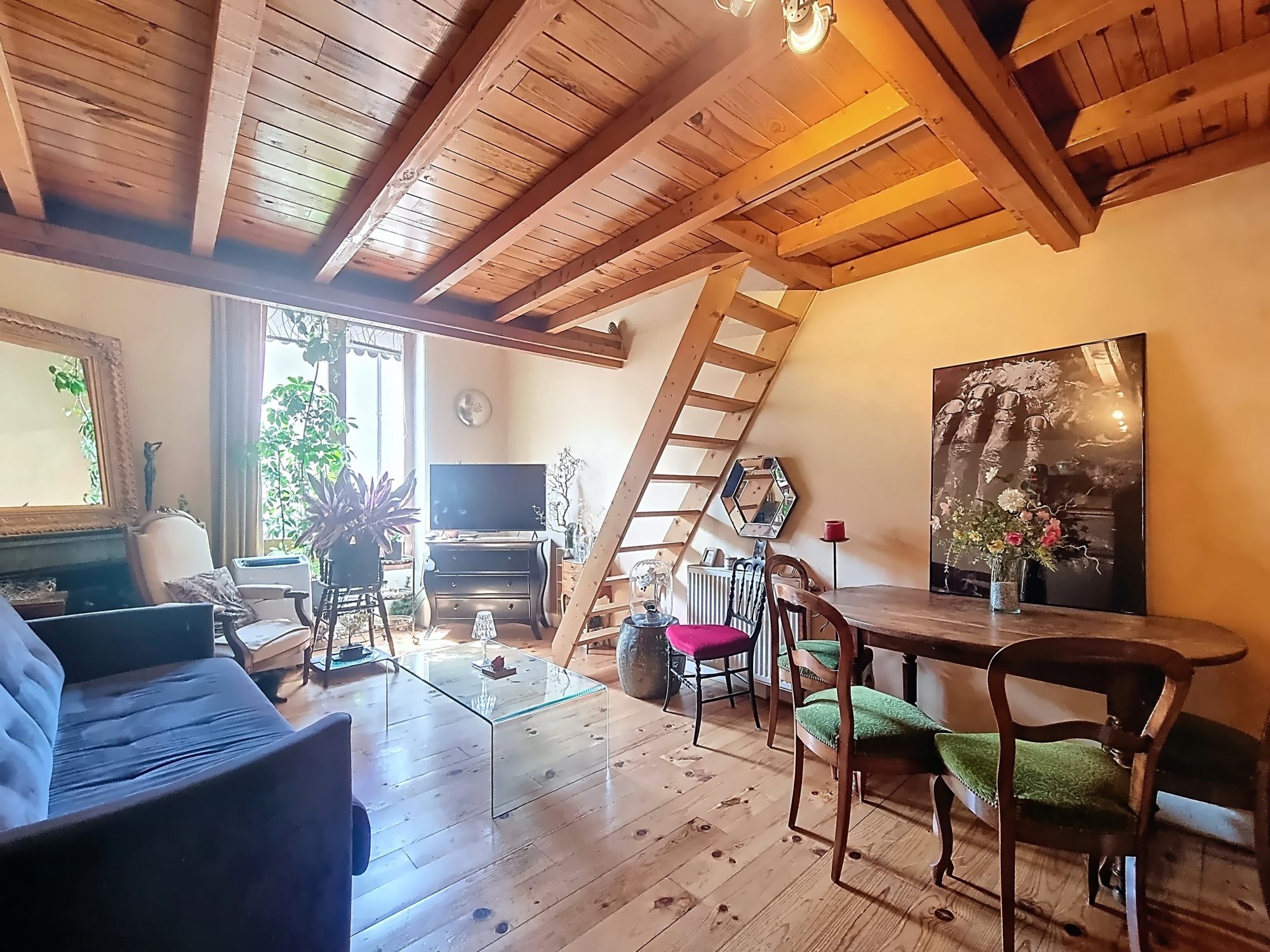 Cocon cours lafayette