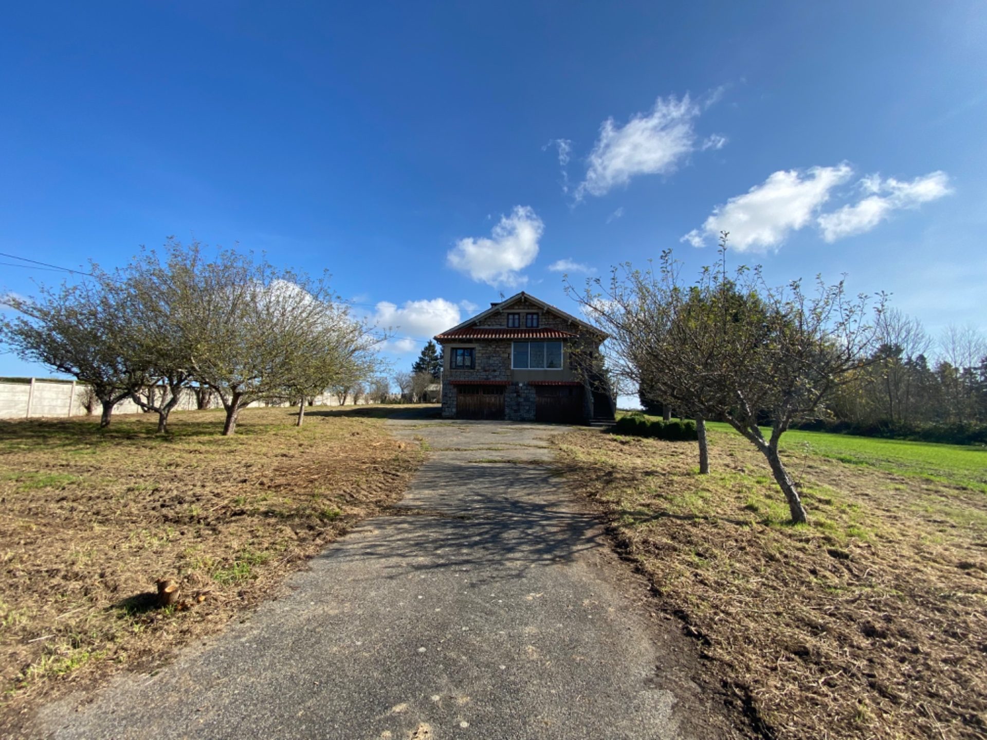 Maison à rénover avec dépendance et grand terrain Apinac 42550