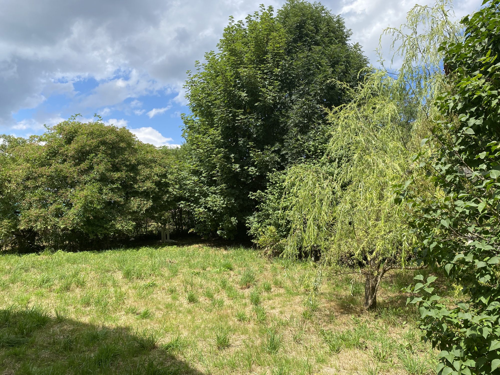 Maison - 5 pièces - 175 m² - Riotord (43220)