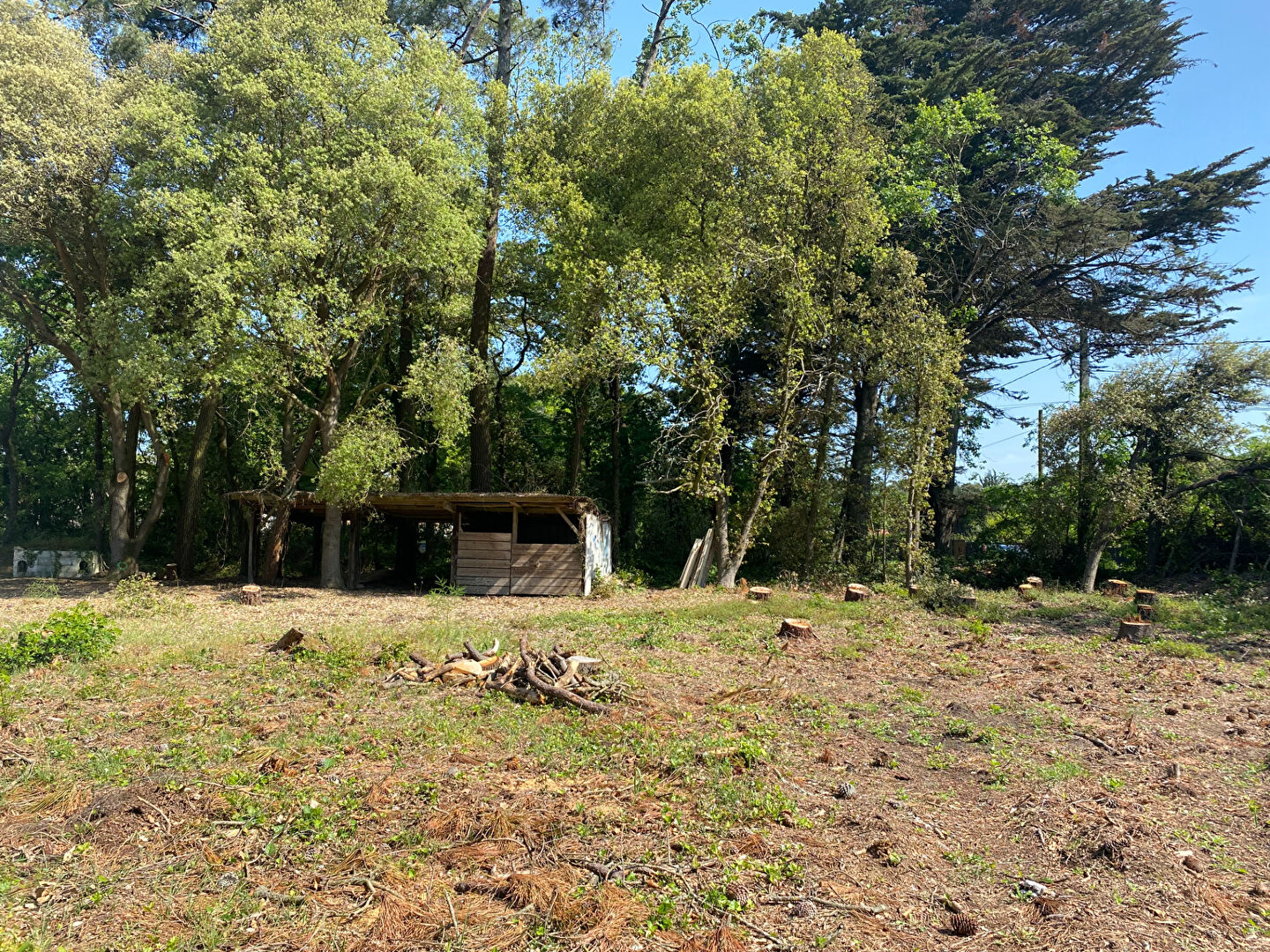 Terrain 930m² Saint Hilaire De Riez SAINT HILAIRE DE RIEZ 85270