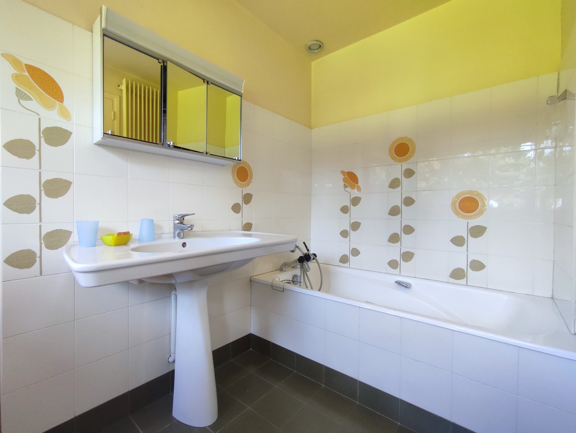 Maison d'architecte Ambert 63600