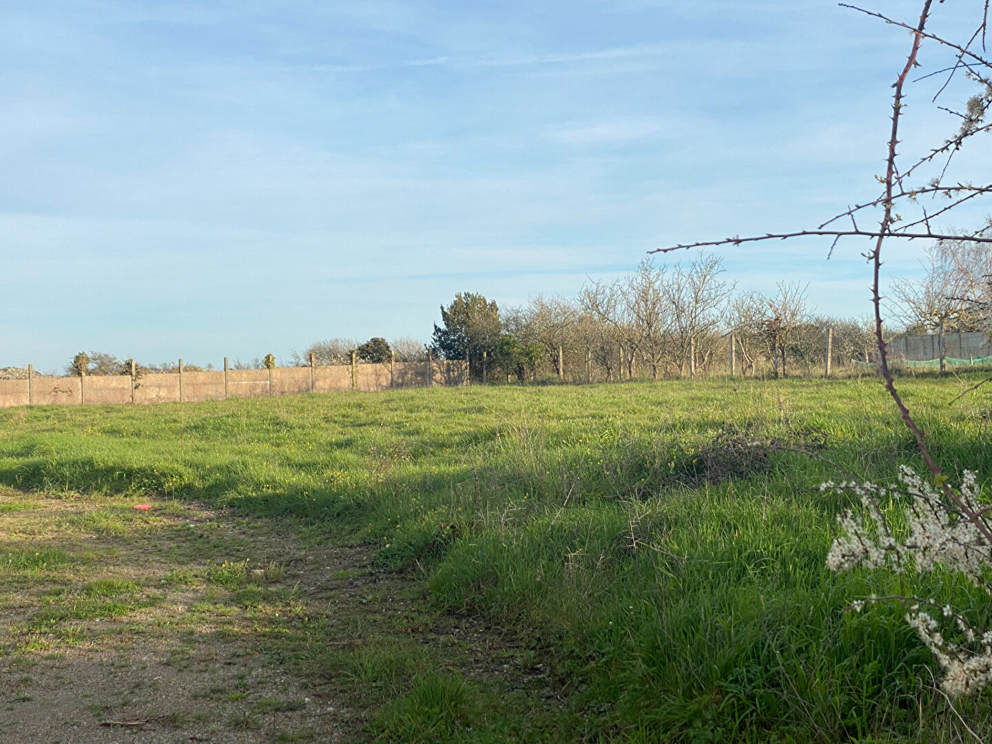 Terrain Saint Hilaire De Riez 1502 m2 SAINT HILAIRE DE RIEZ 85270