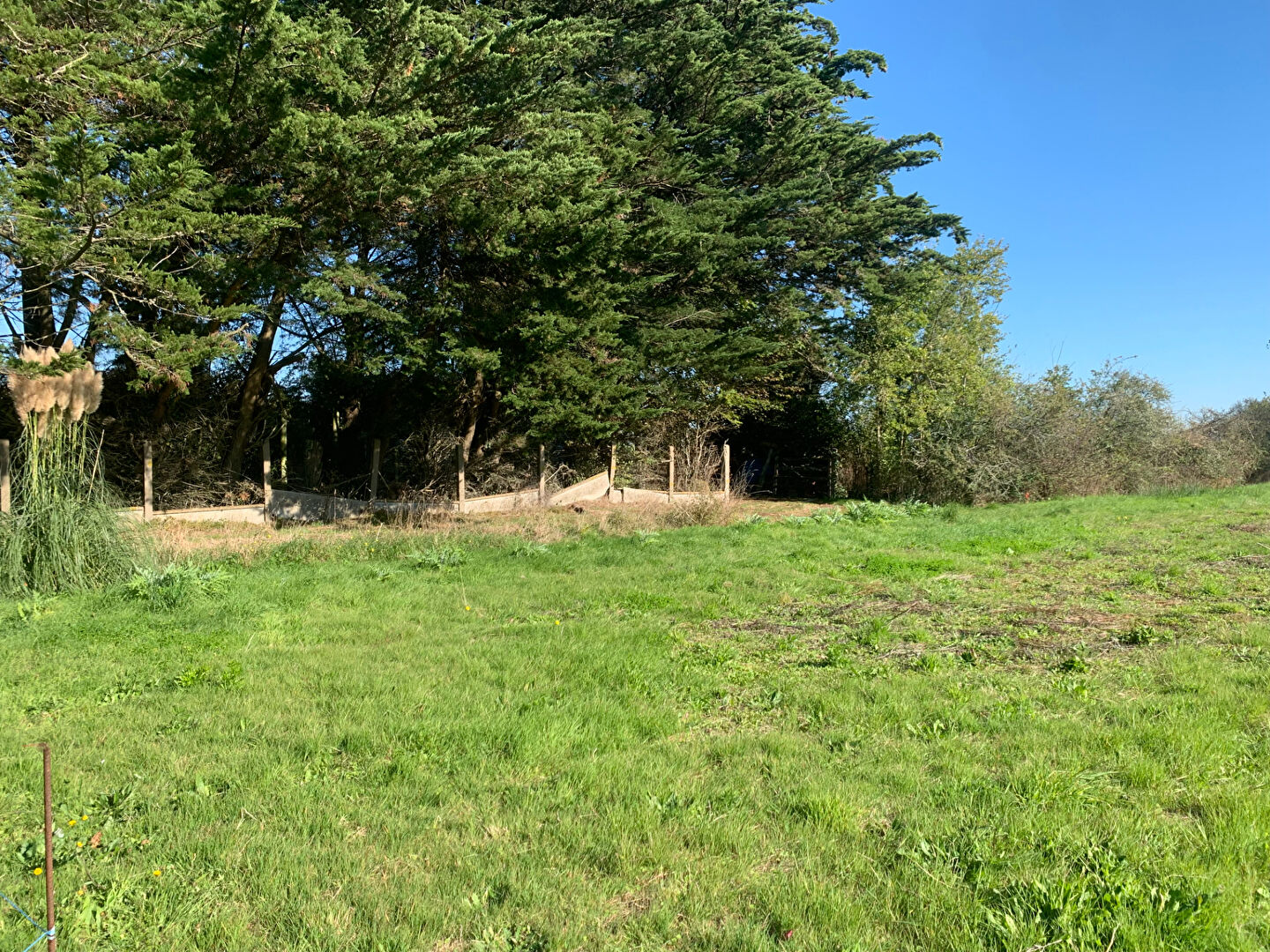 Terrain à bâtir viabilisé Le Fenouiller 948 m2 LE FENOUILLER 85800