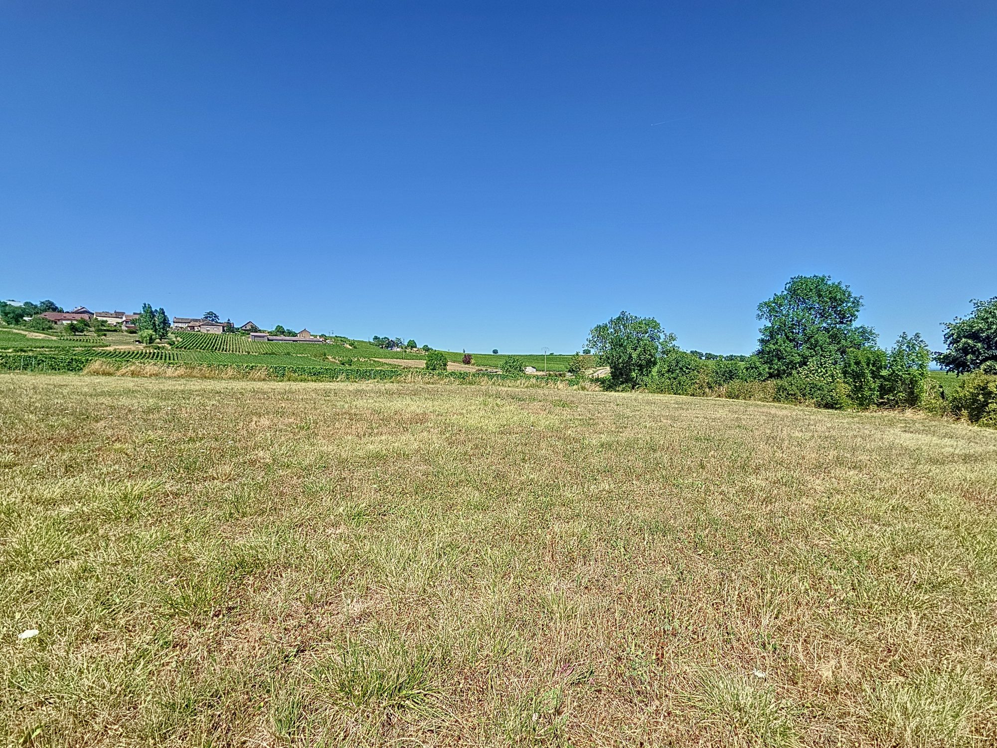 Terrain belle vue secter Buxy Buxy 71390