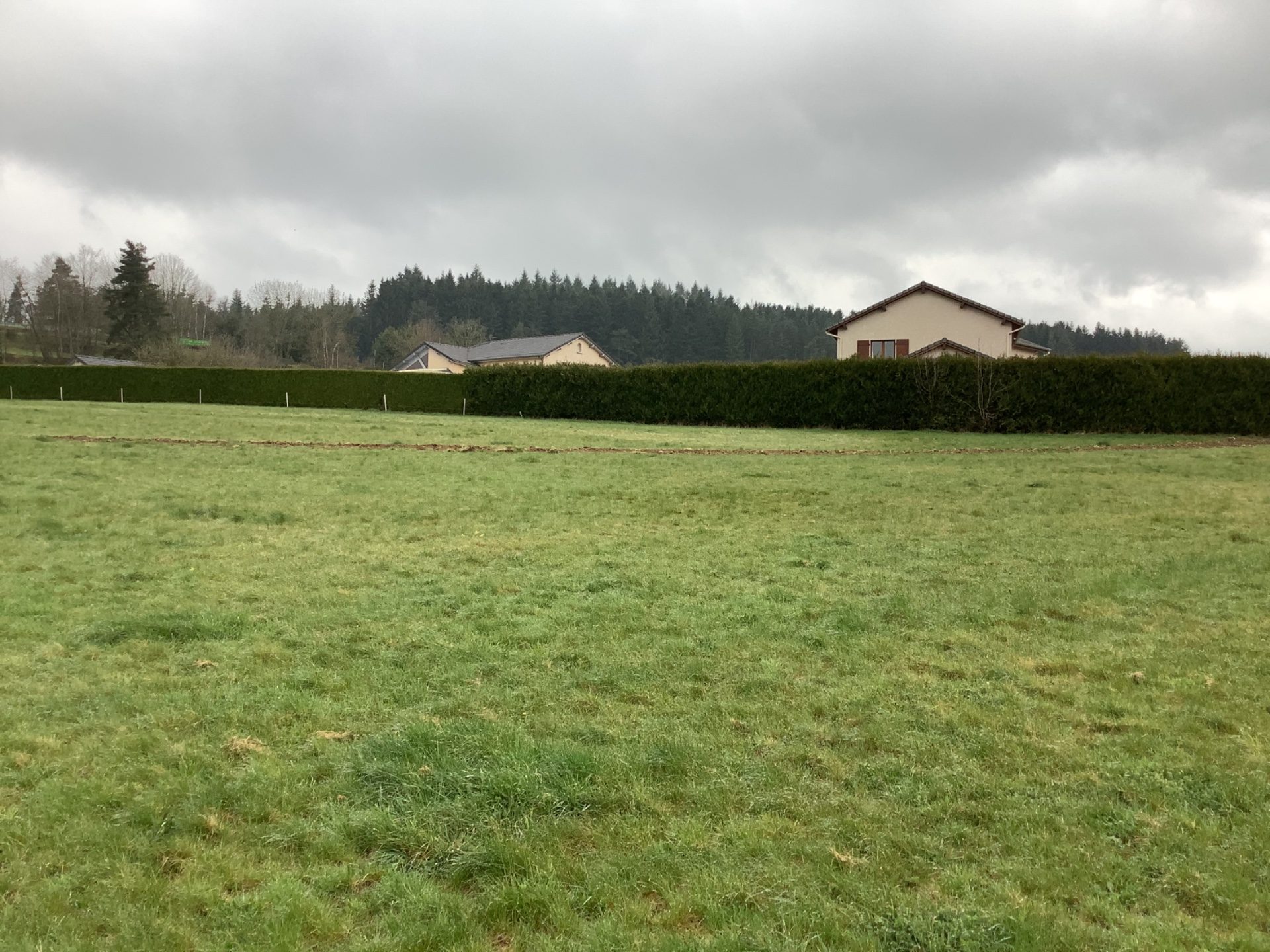 Terrain plat d’environ 2 hectares en zone constructible