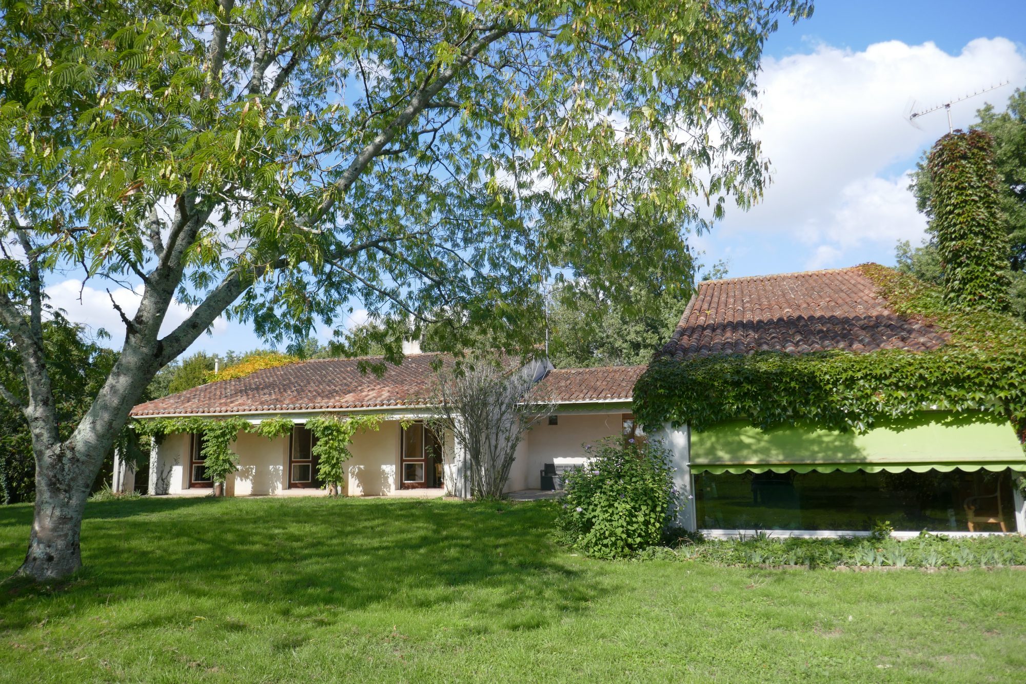 Maison - 11 pièces - 286 m² - Échiré (79410)