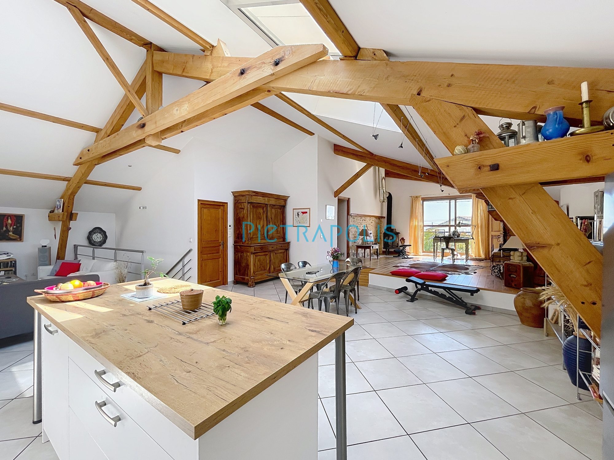 DENICE 10 MIN VILLEFRANCHE MAISON LOFT 170 M2 HAB JARDIN GRAND GARAGE