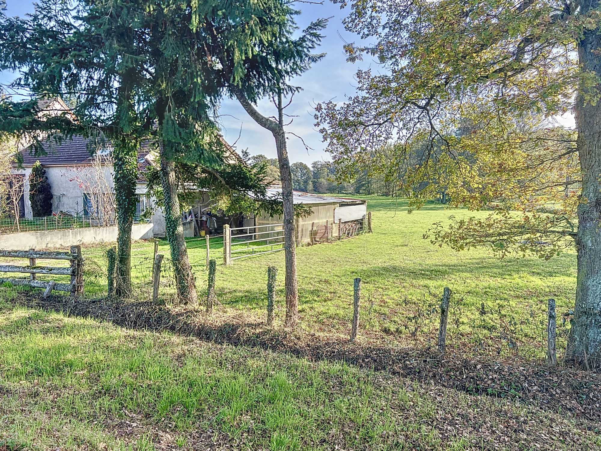 Maison à rénover avec superbe terrain Saint-Pierre-en-Vaux 21230