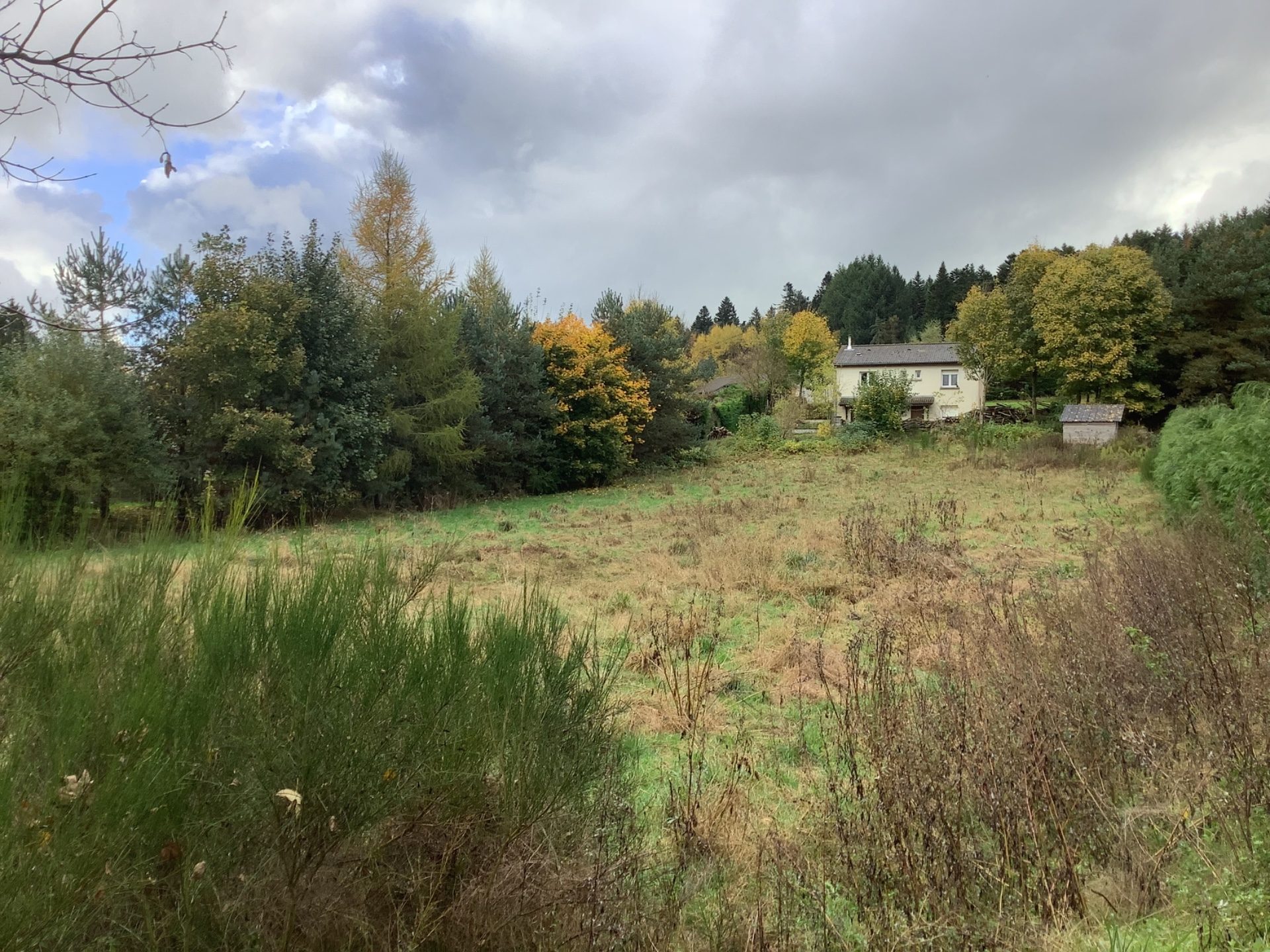 Terrain - 2187 m² - Le chambon-sur-lignon (43400)