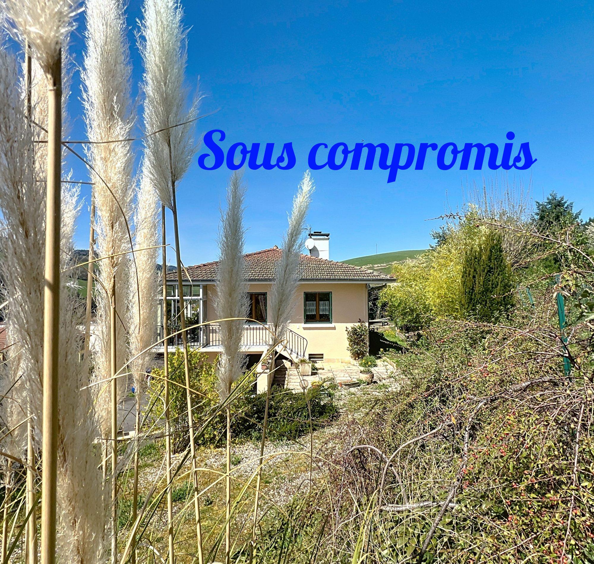 Maison sur sous-sol complet-Idéalement placée- lumineuse