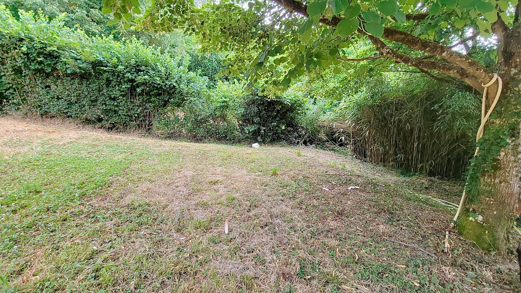 Terrain Constructible dans cadre privilégié Porte-des-Bonnevaux 38260