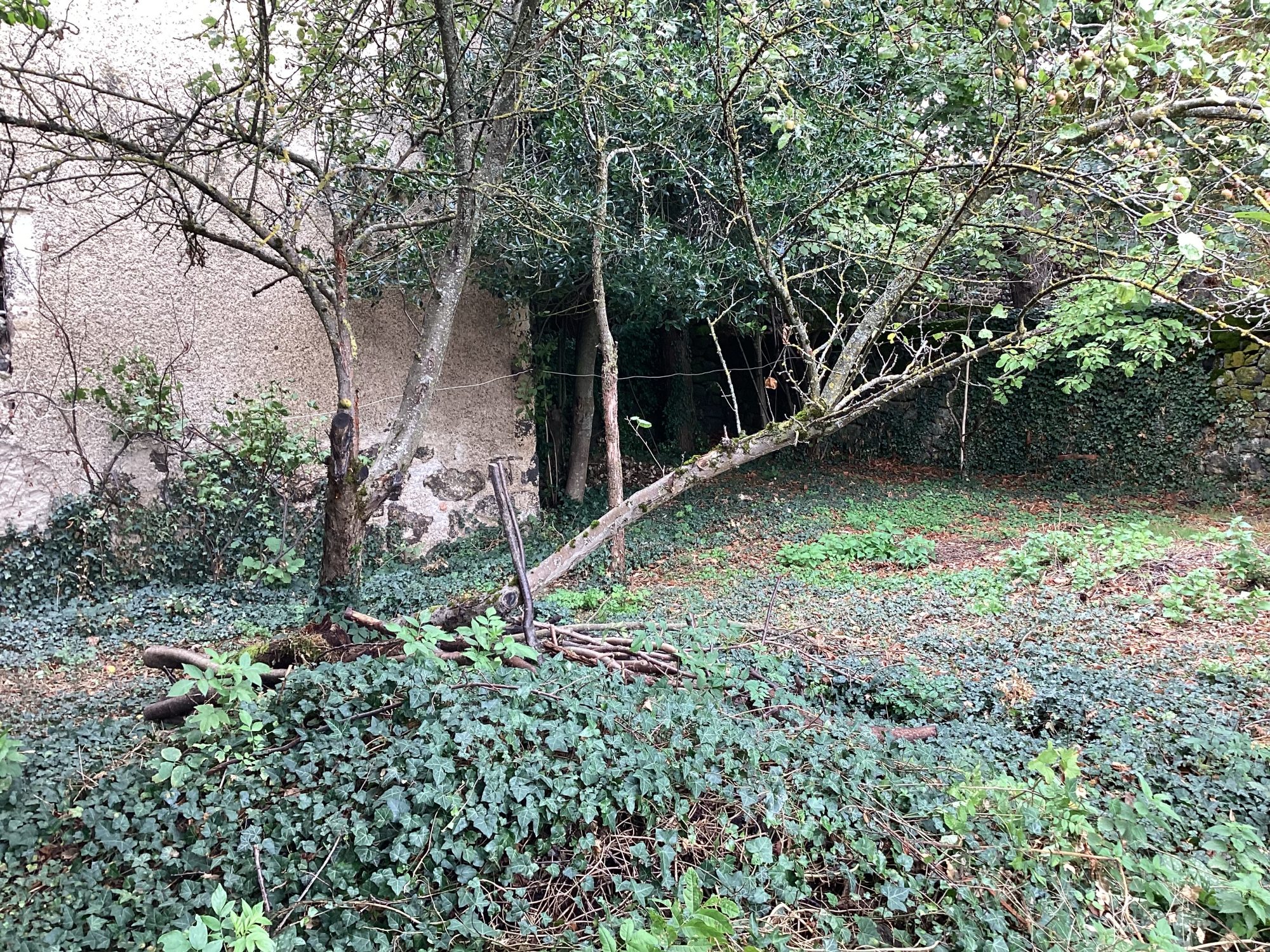 Maison - 5 pièces - 88 m² - Sanssac-l'Église (43320)