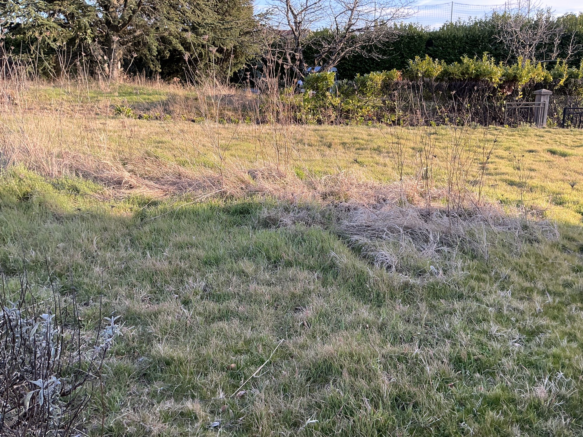 Terrain - 728 m² - Annonay (07100)