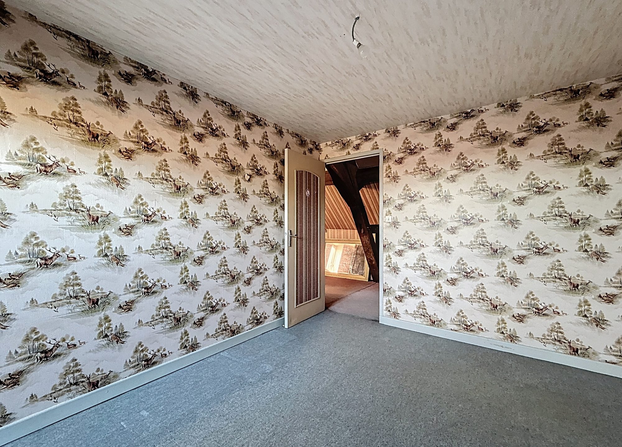 IDEAL INVESTISSEUR Plombières-lès-Dijon 21370