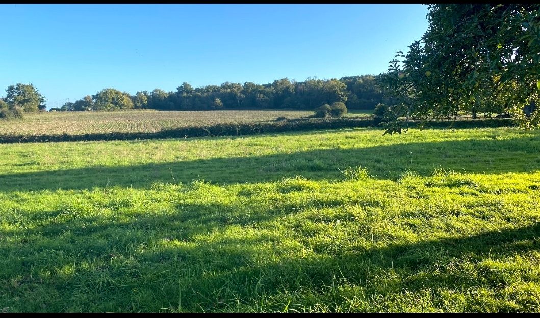 TERRAIN A BATIR  VUYE DEGAGEE  RIEUX 56