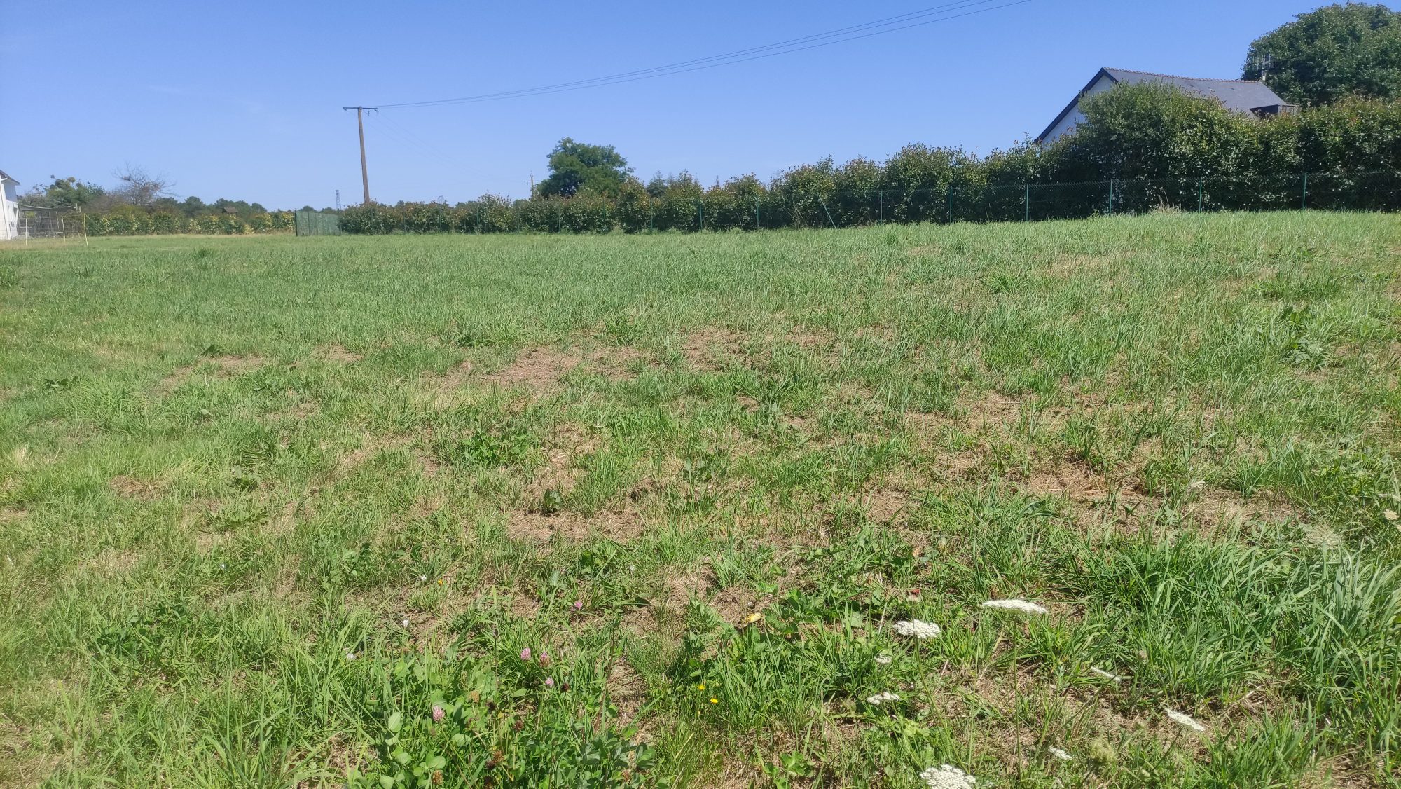 SAINT DOLAY TERRAIN A VENDRE