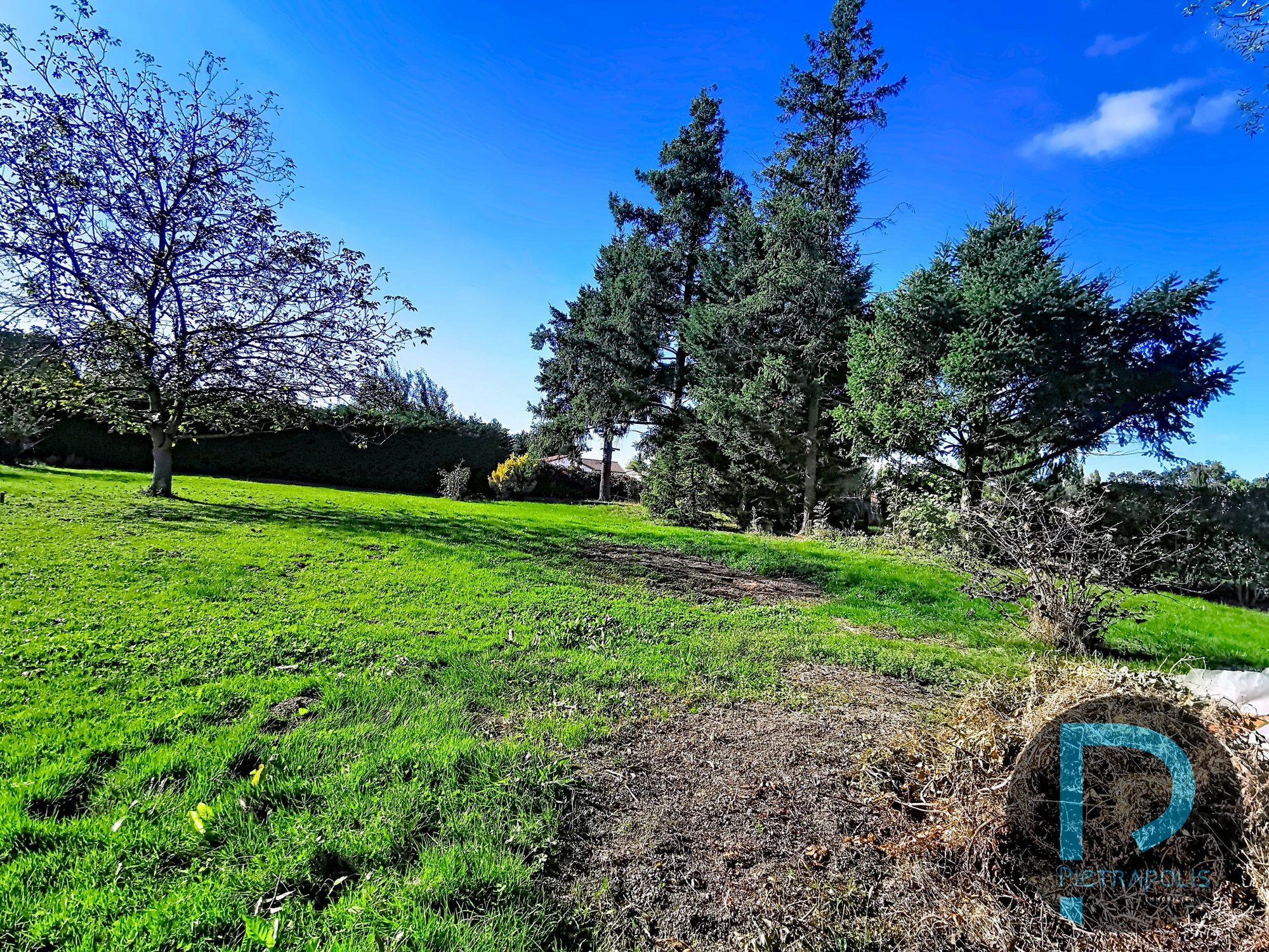 SAINT CYR SUR MENTHON EXCLUSIVITE TERRAIN CONSTRUCTIBLE Saint-Cyr-sur-Menthon 01380