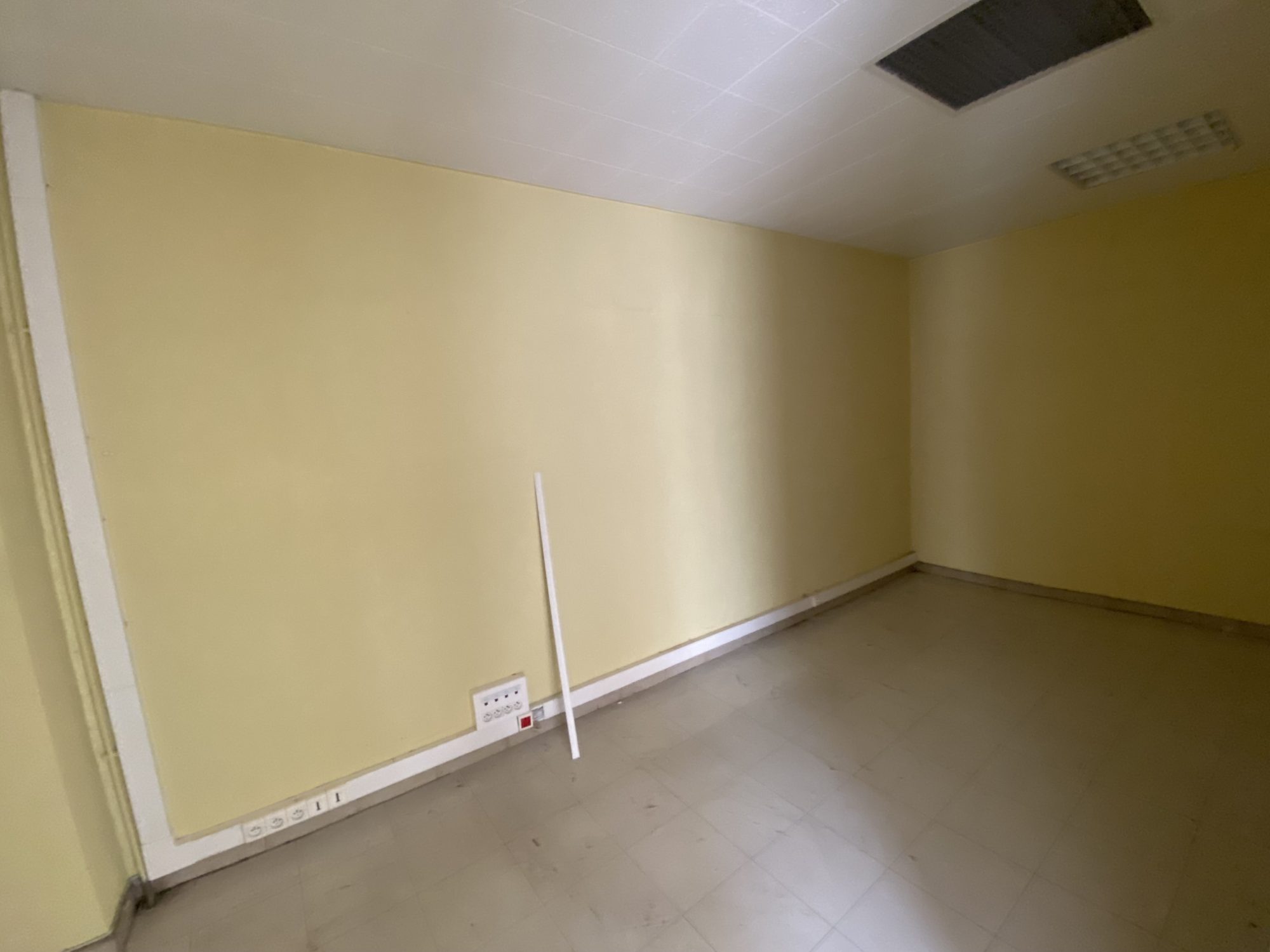 Murs commericaux Bourg-Argental 42220
