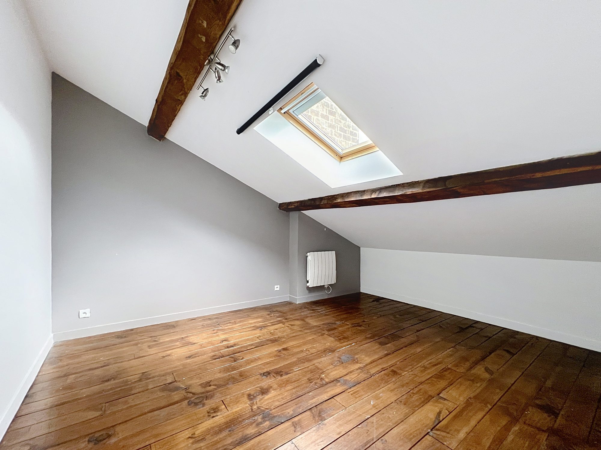 Magnifique Duplex à Villeurbanne Villeurbanne 69100